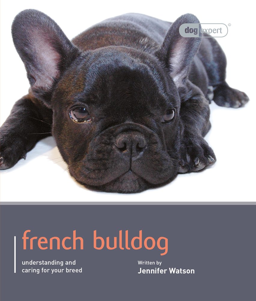 French Bulldog: Dog Expert Pets