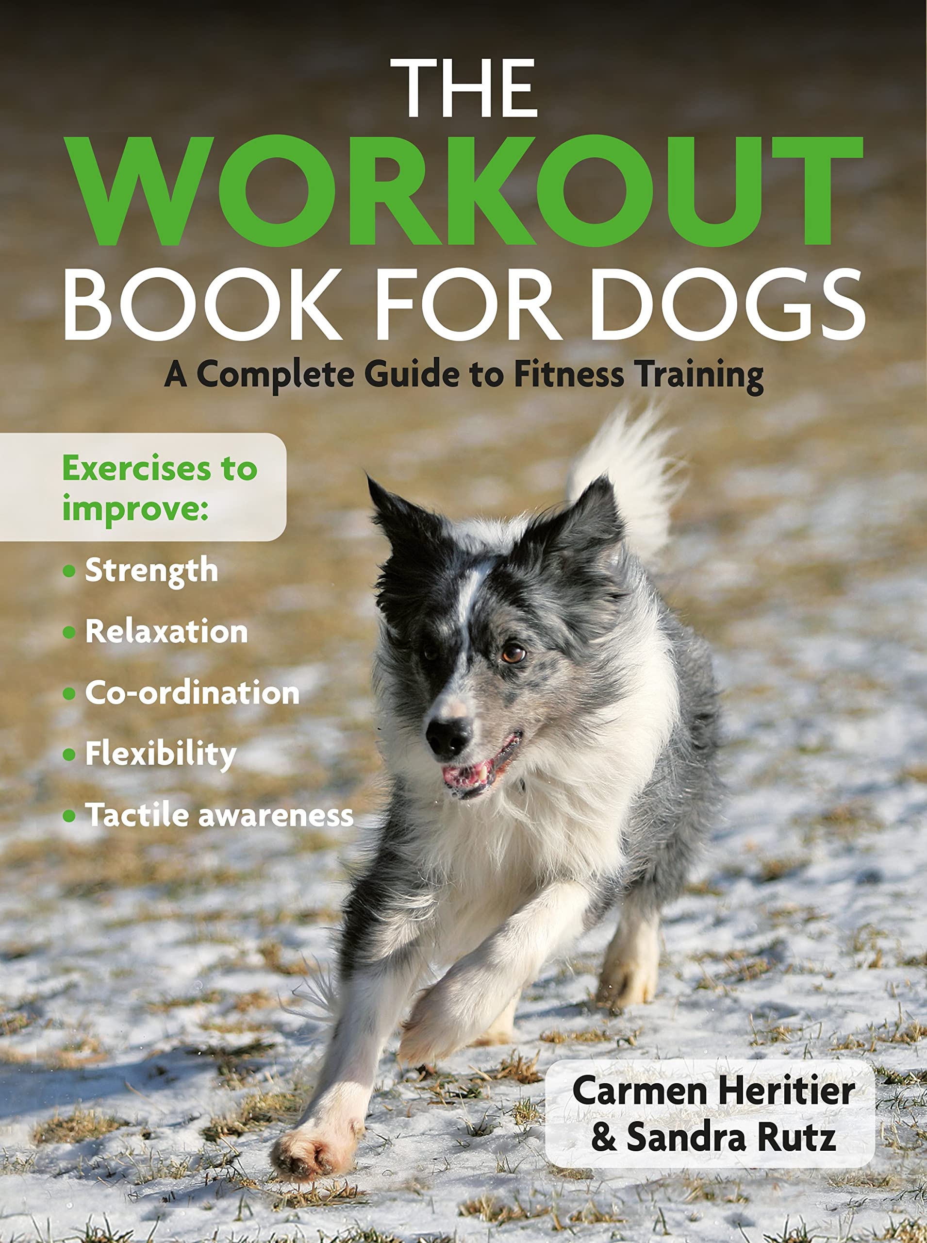 The Workout Book For Dogs: A Complete Guide to Fitness Traing Home & Household