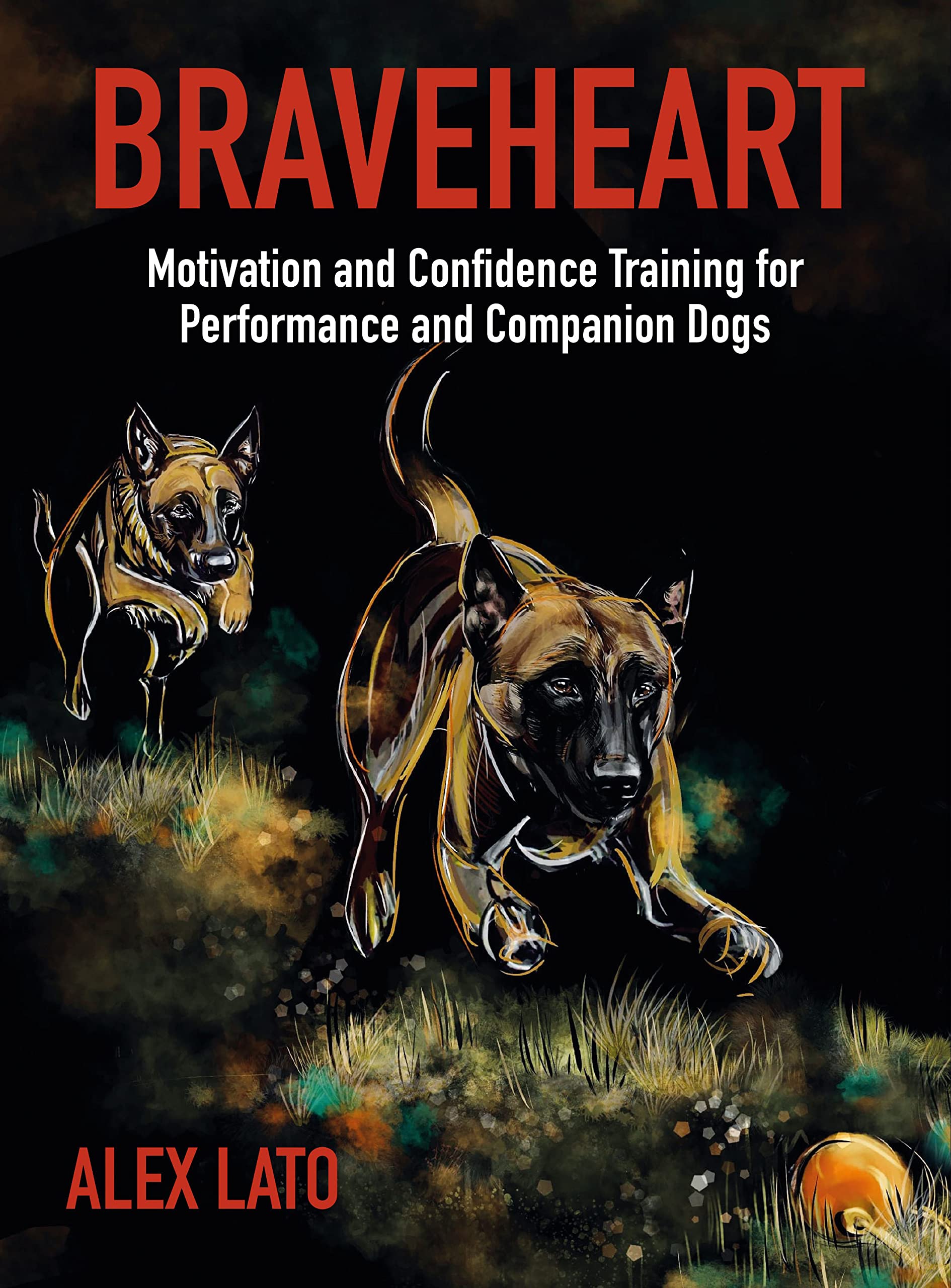 Braveheart: Motivation and Confidence Training For Performance and Companion Dogs Home & Household