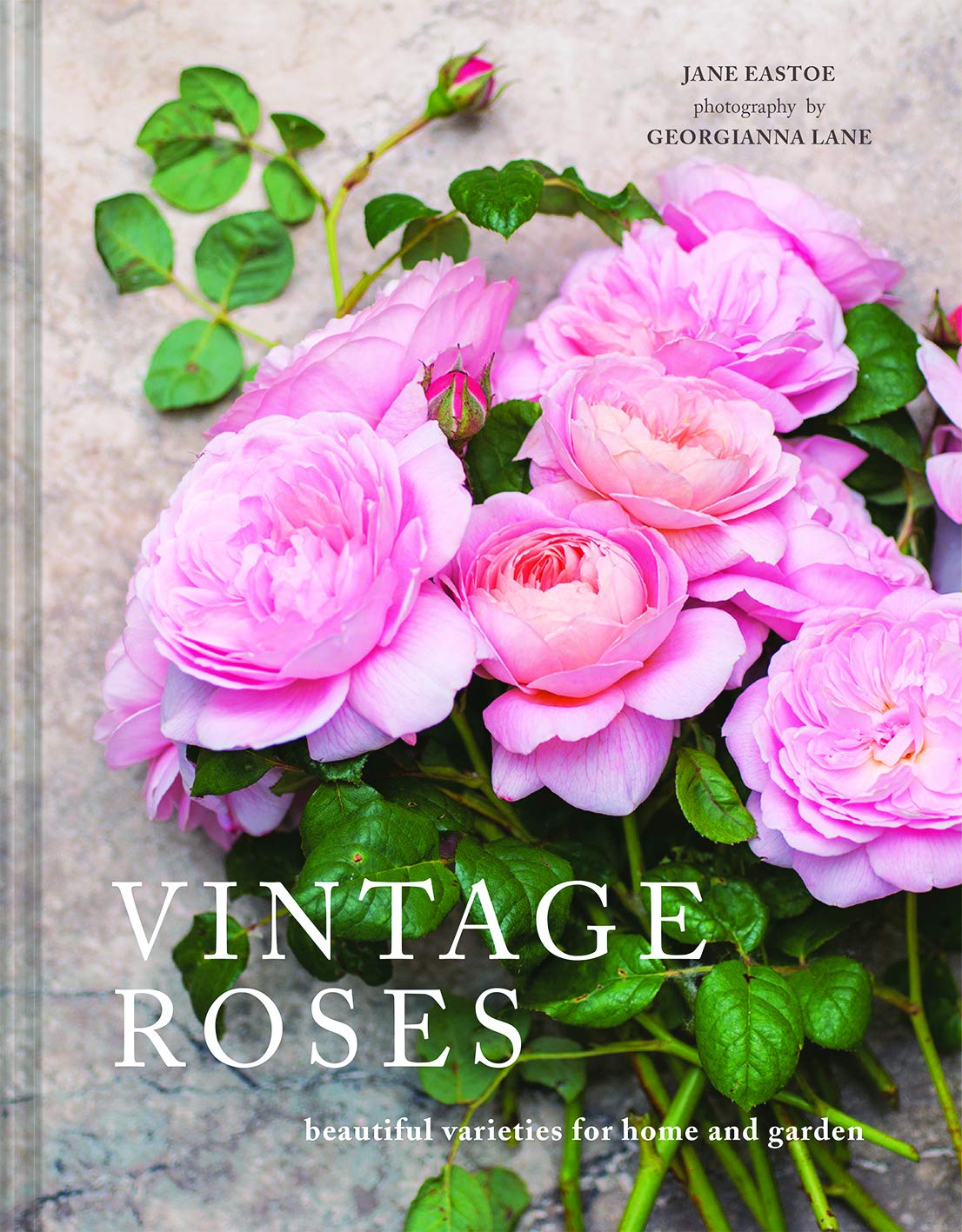 Vintage Roses: Beautiful varieties for home and garden Film, Art & Culture
