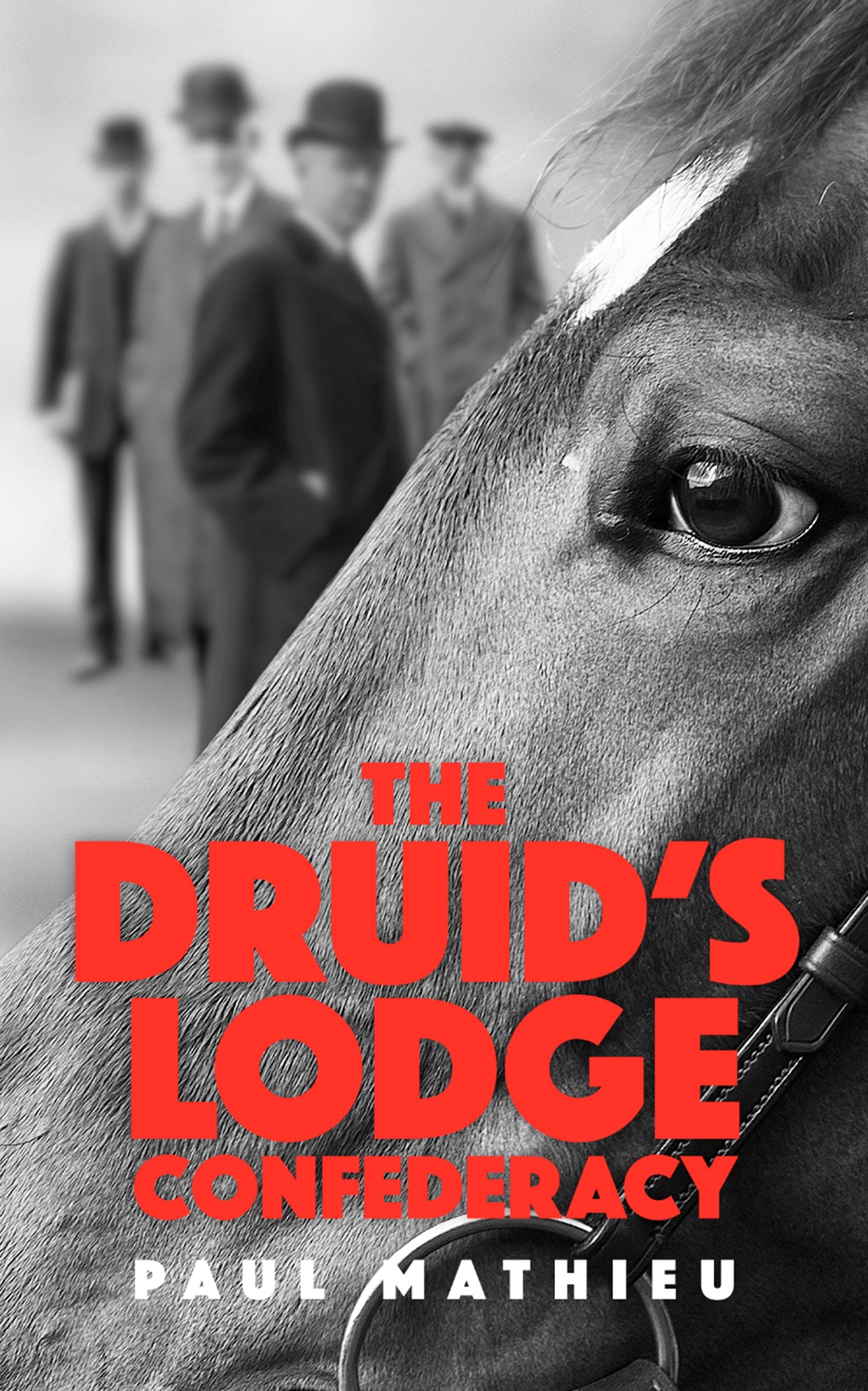 The Druid's Lodge Confederacy Leisure & Fun Books