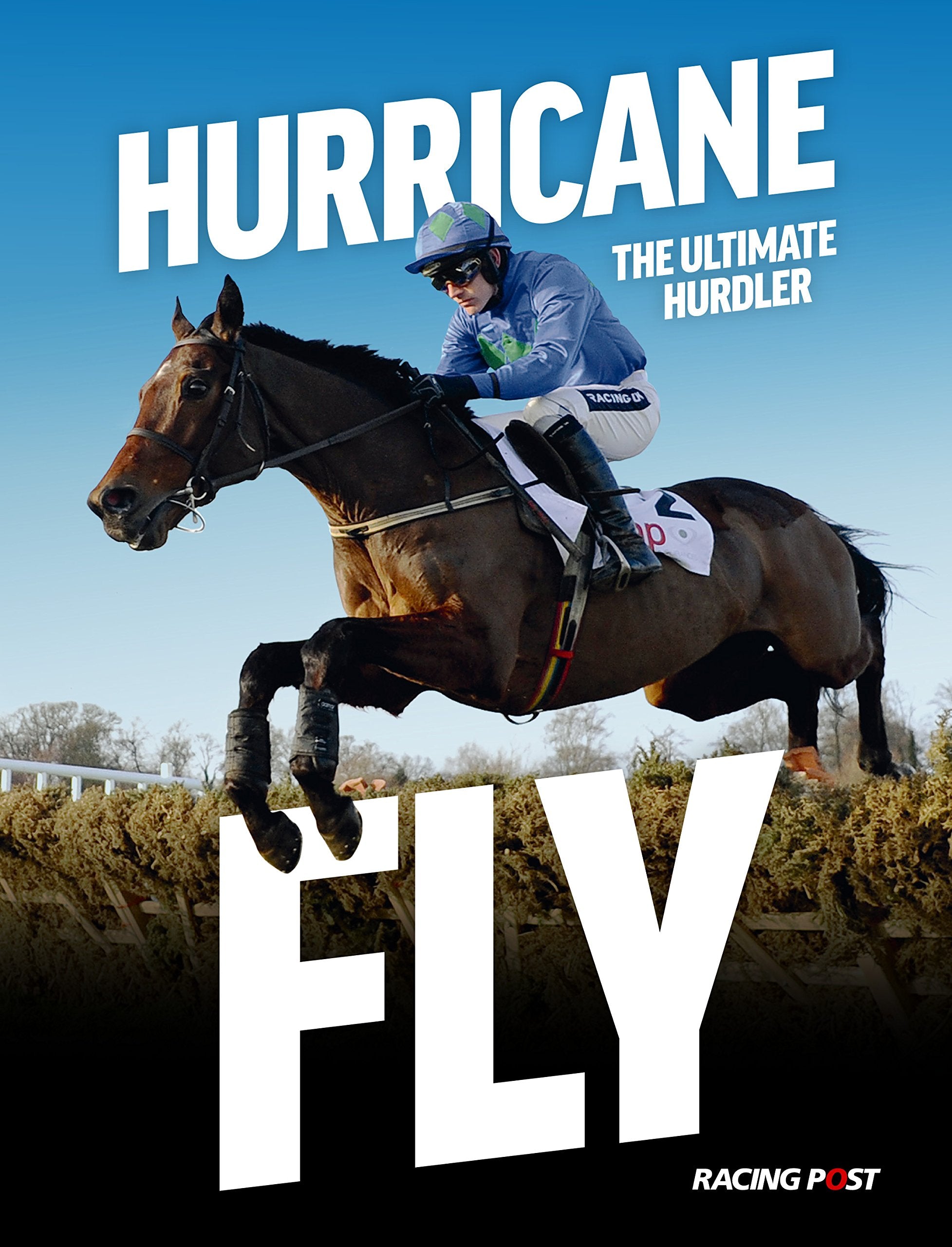 Hurricane Fly: The Ultimate Hurdler Leisure & Fun
