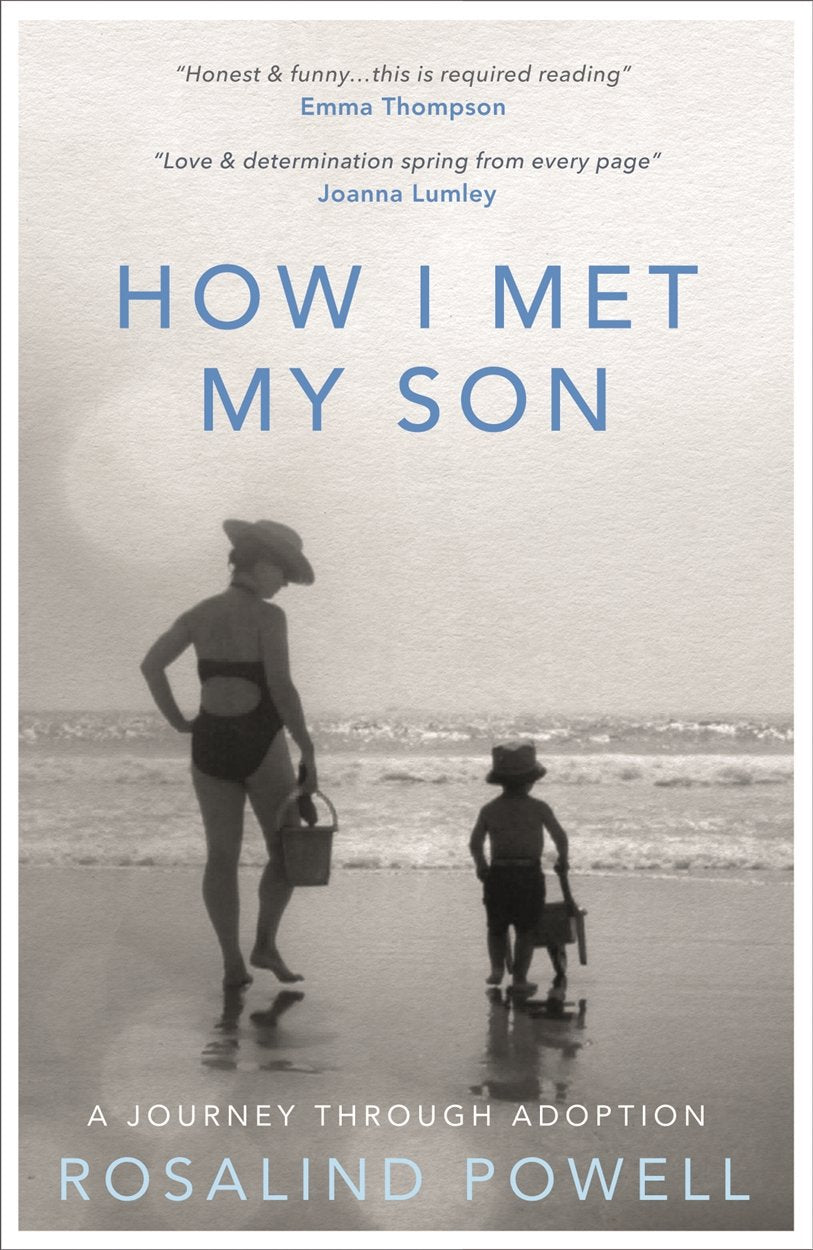 How I Met My Son: A Journey Through Adoption book