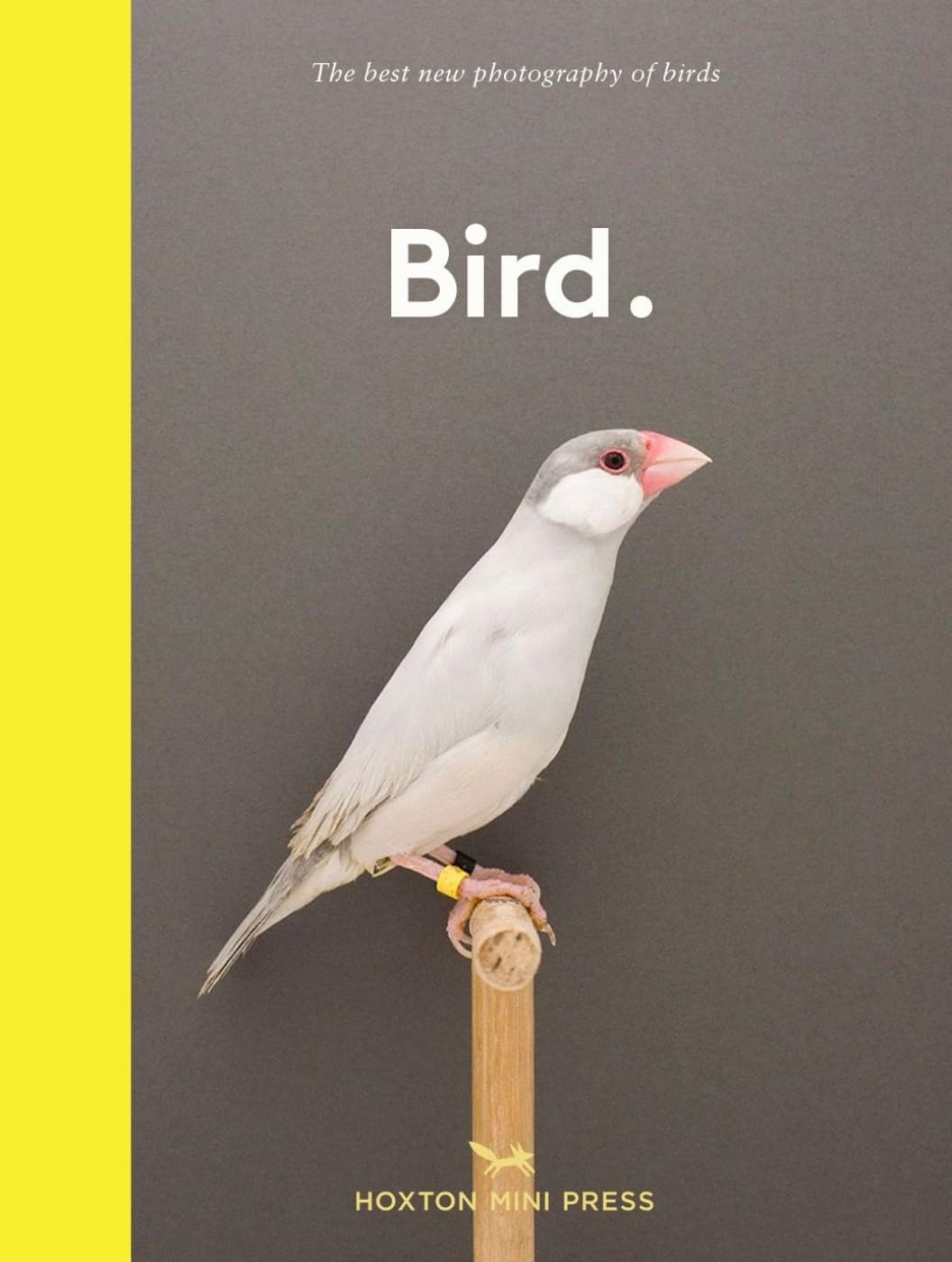 New Photography of the Bird. Mathematics