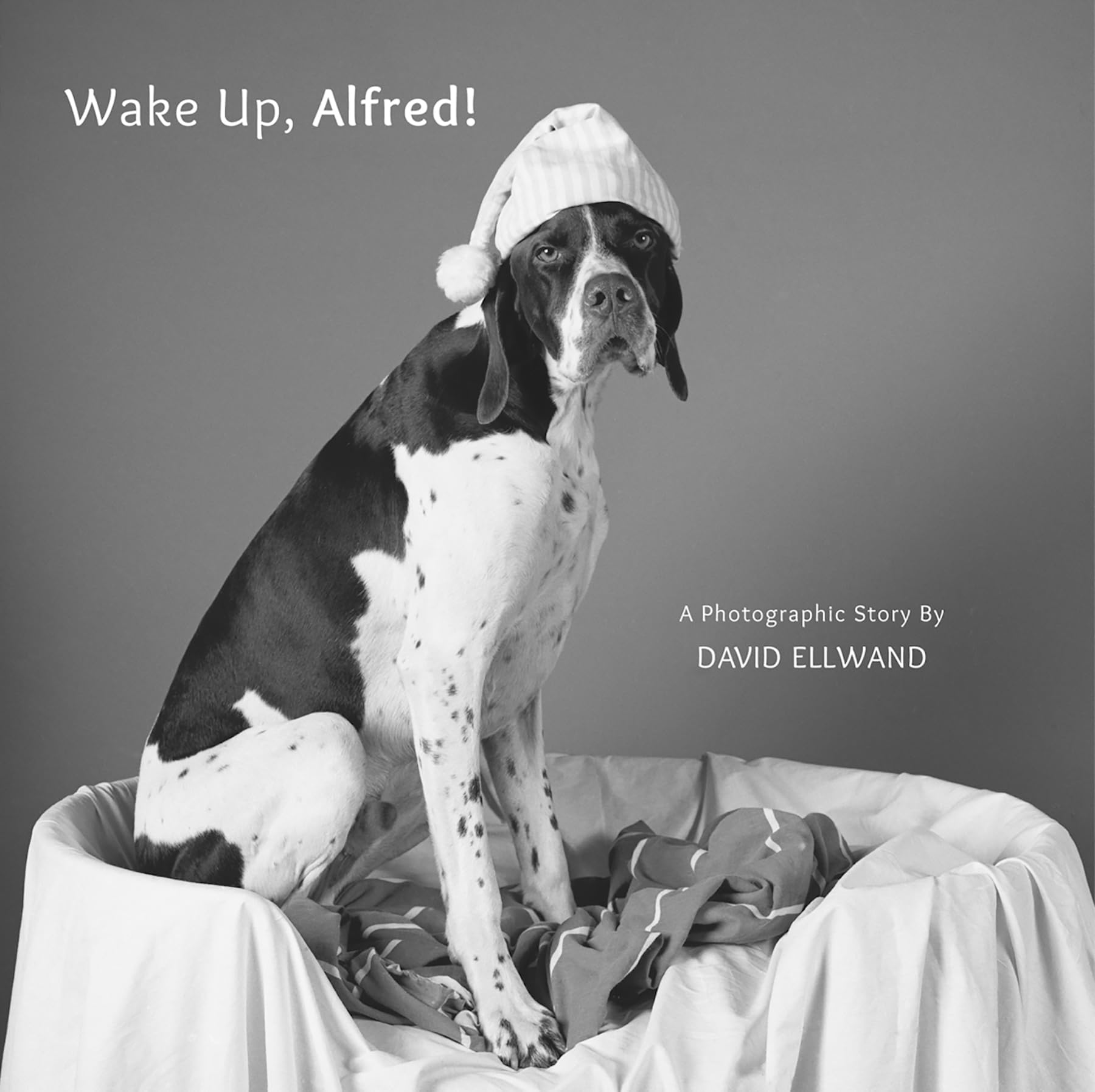 Wake Up, Alfred!: A Photographic Story Parents & Children