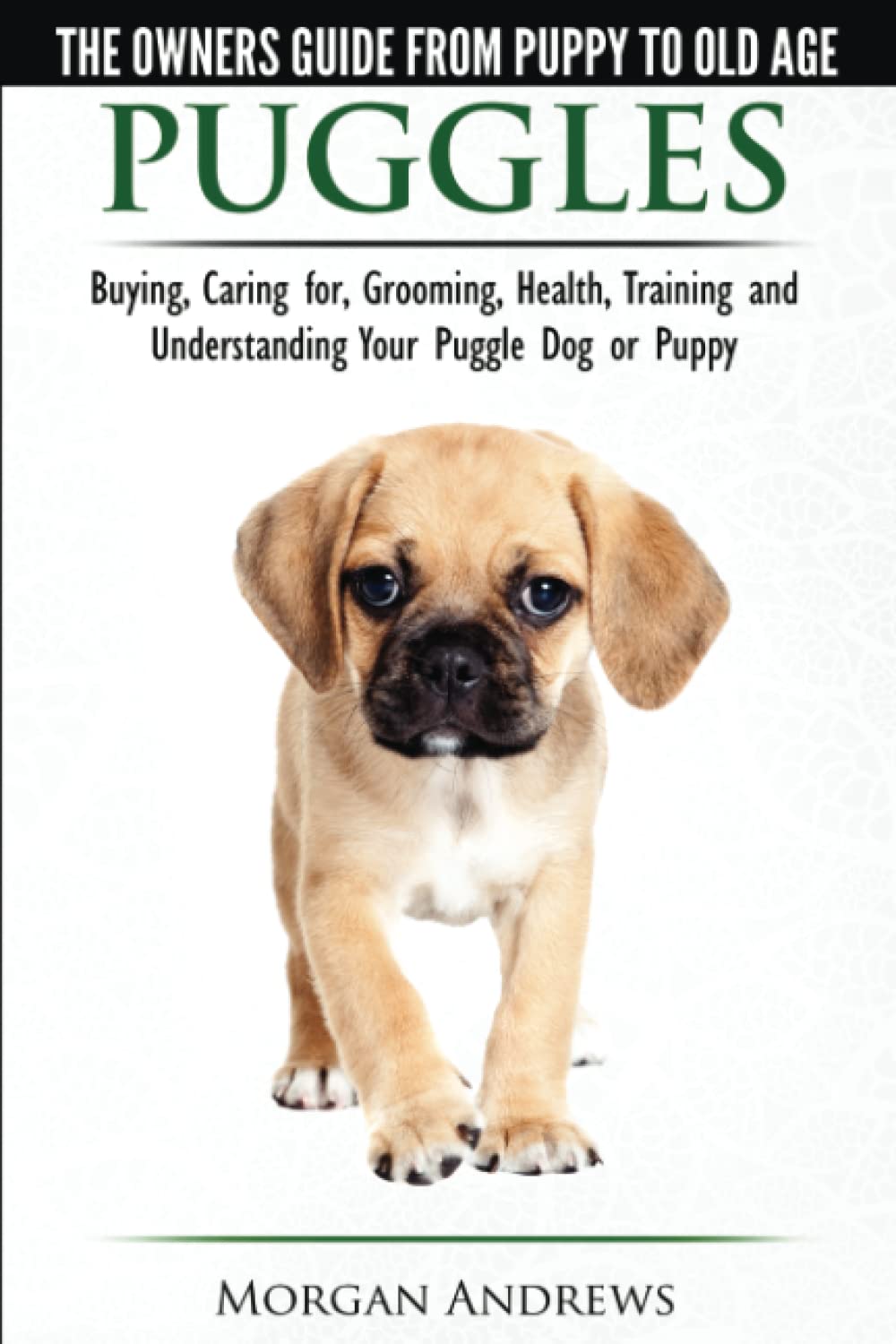 Puggles - The Owner's Guide from Puppy to Old Age - Choosing, Caring for, Grooming, Health, Training and Understanding Your Puggle Dog or Puppy Pets