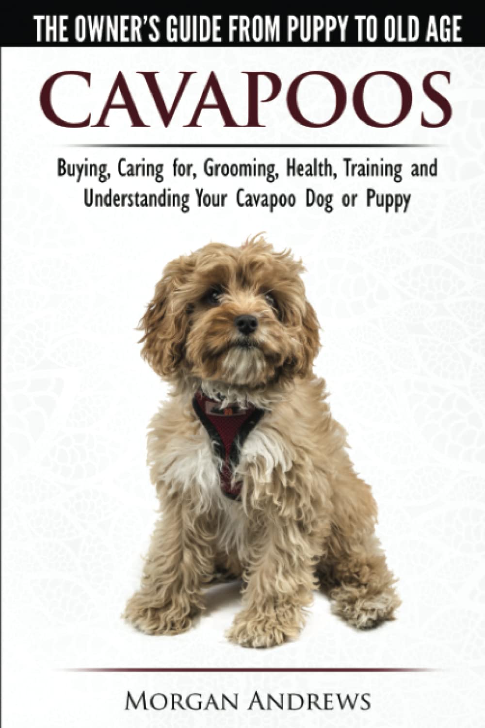 Cavapoos - The Owner's Guide From Puppy To Old Age - Buying, Caring for, Grooming, Health, Training and Understanding Your Cavapoo Dog or Puppy Pets