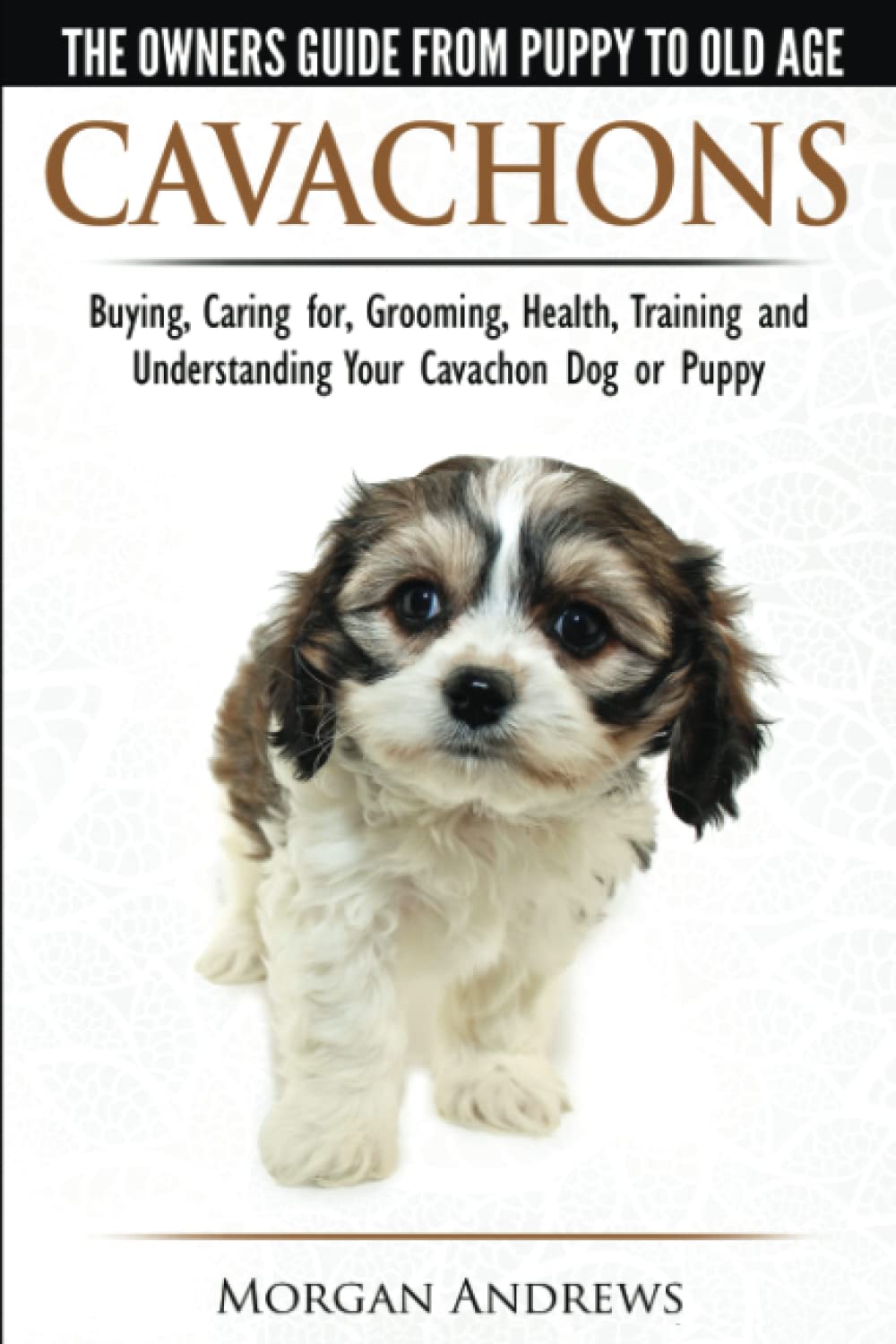 Cavachons - The Owner's Guide from Puppy to Old Age - Choosing, Caring for, Grooming, Health, Training and Understanding Your Cavachon Dog or Puppy Pets