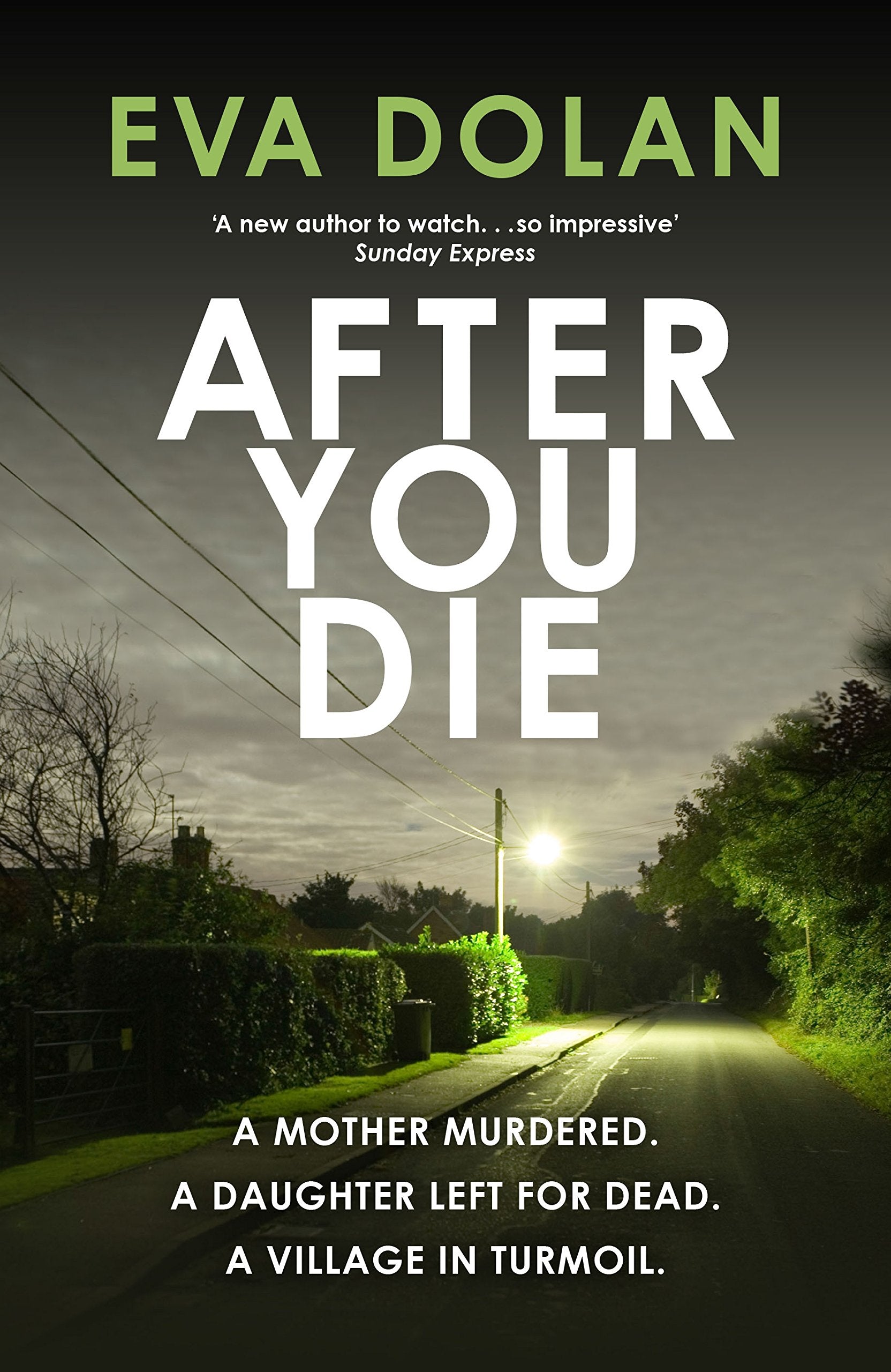 After You Die: A Mother Murdered. a Daughter Left for Dead. a Village in Turmoil. (DI Zigic & DS Ferreira, Band 3) Contemporary literature