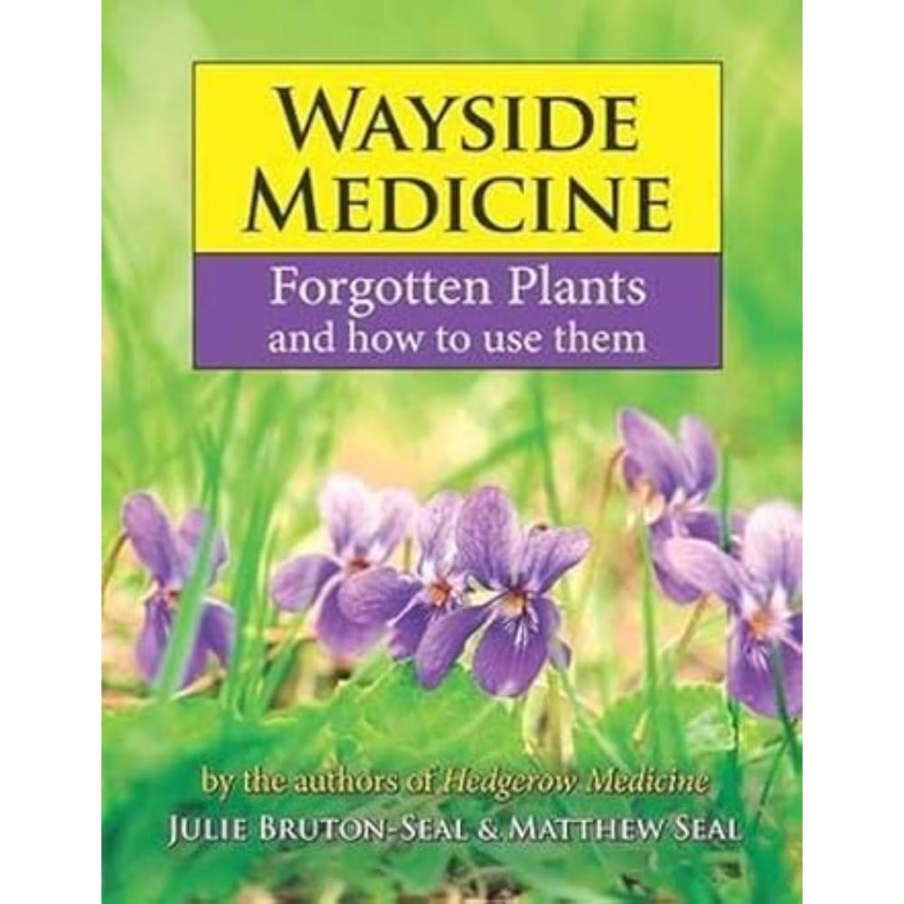 Wayside Medicine: Forgotten Plants and how to use them book