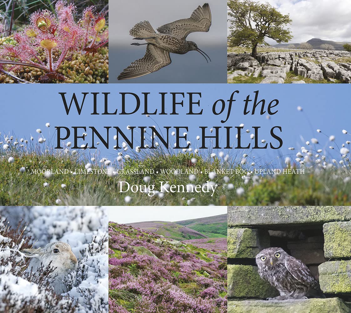 Wildlife of the Pennine Hills: Moorland : Limestone : Grassland : Woodland : Blanket Bog : Upland Heath Mathematics