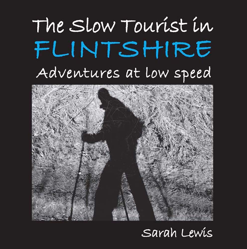 The Slow Tourist in Flintshir: Adventures at low speed Business, Finance & Career