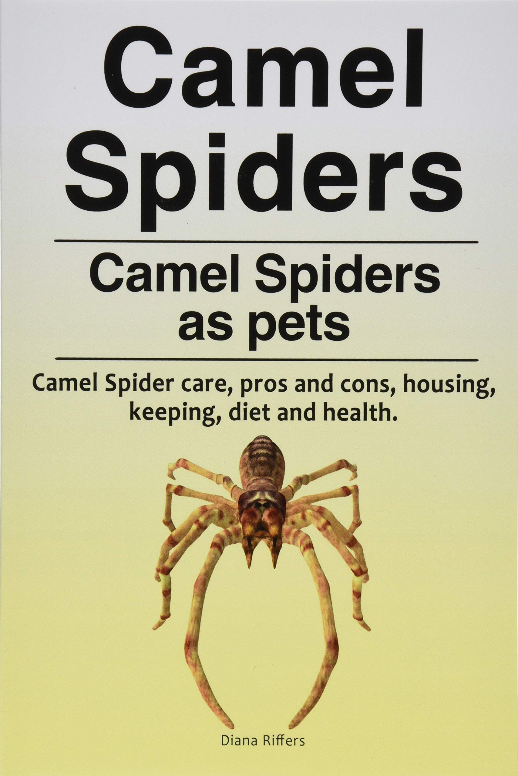 Camel spiders. Camel spiders as pets. Camel spider care, pros and cons, housing, keeping, diet and health. Pets