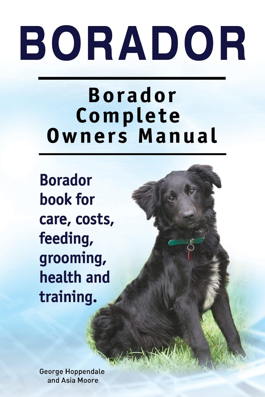 Borador. Borador Complete Owners Manual. Borador book for care, costs, feeding, grooming, health and training. Pets