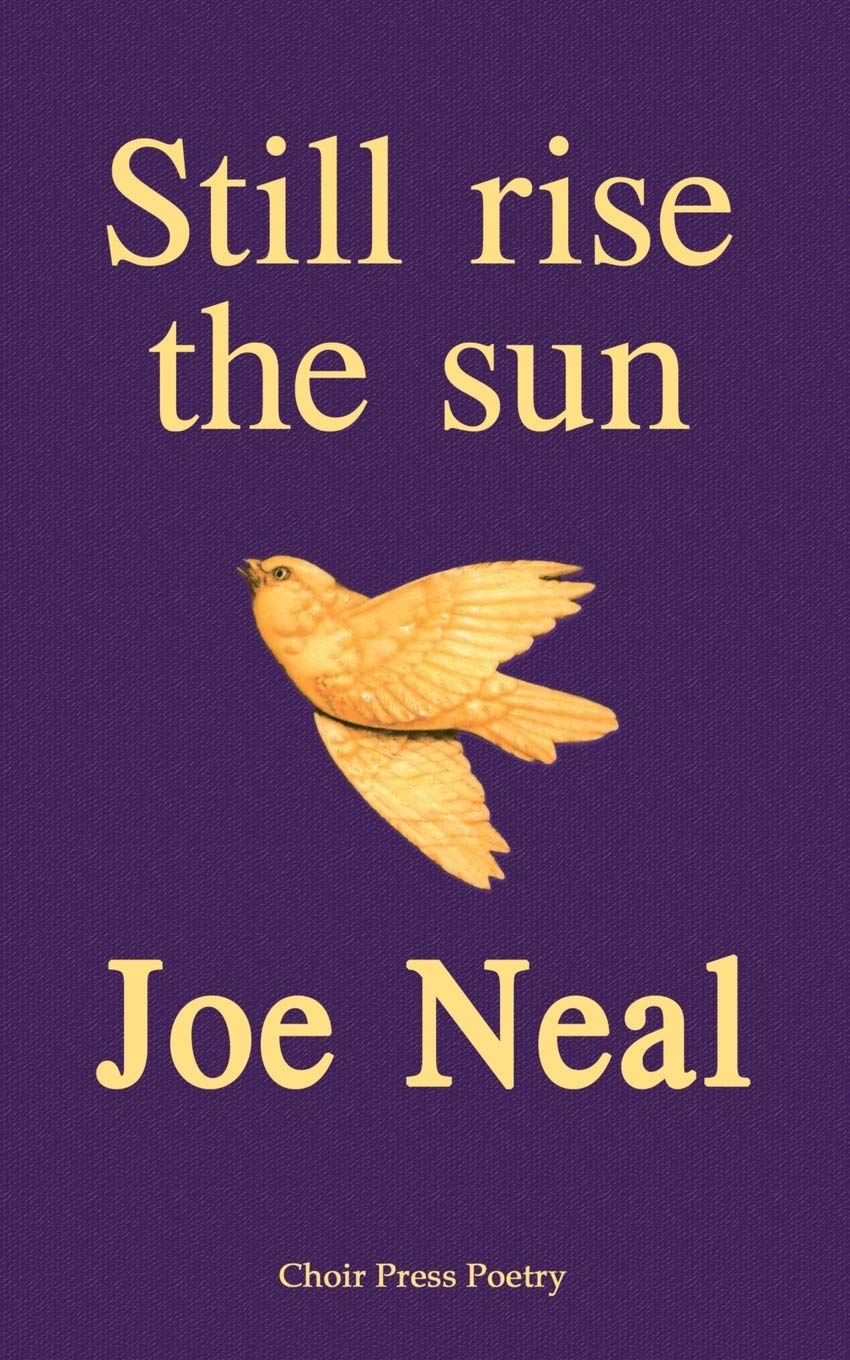 Still rise the sun (Choir Press Poetry, Band 5) Poetry