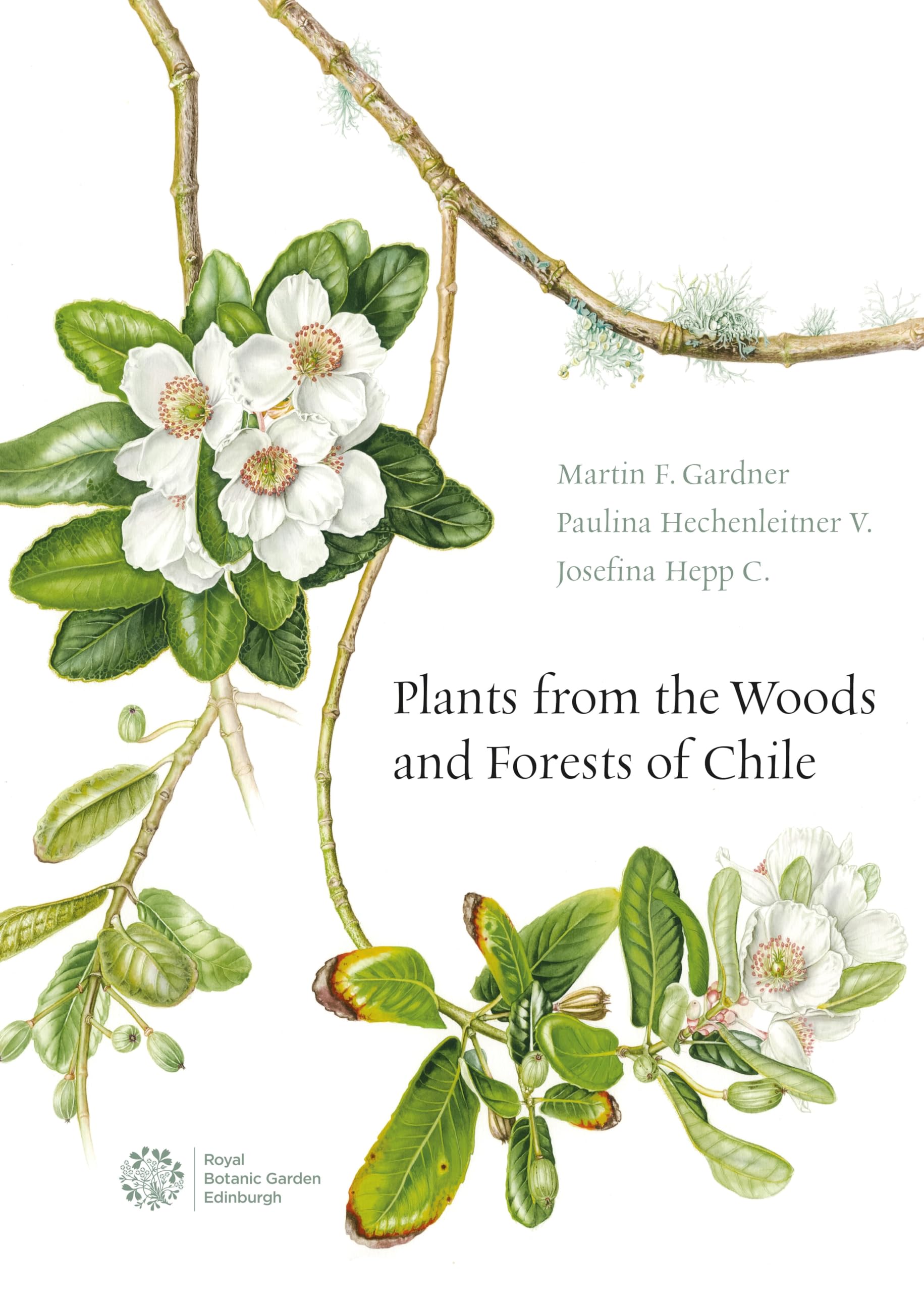 Plants from the Woods and Forests of Chile Mathematics