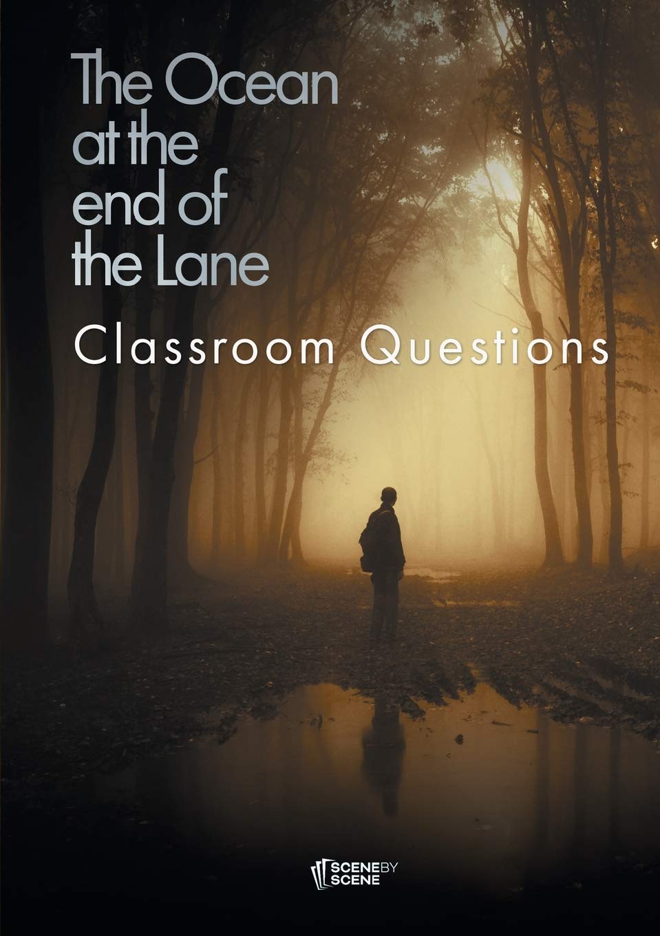 The Ocean at the End of the Lane Classroom Questions Study Guides