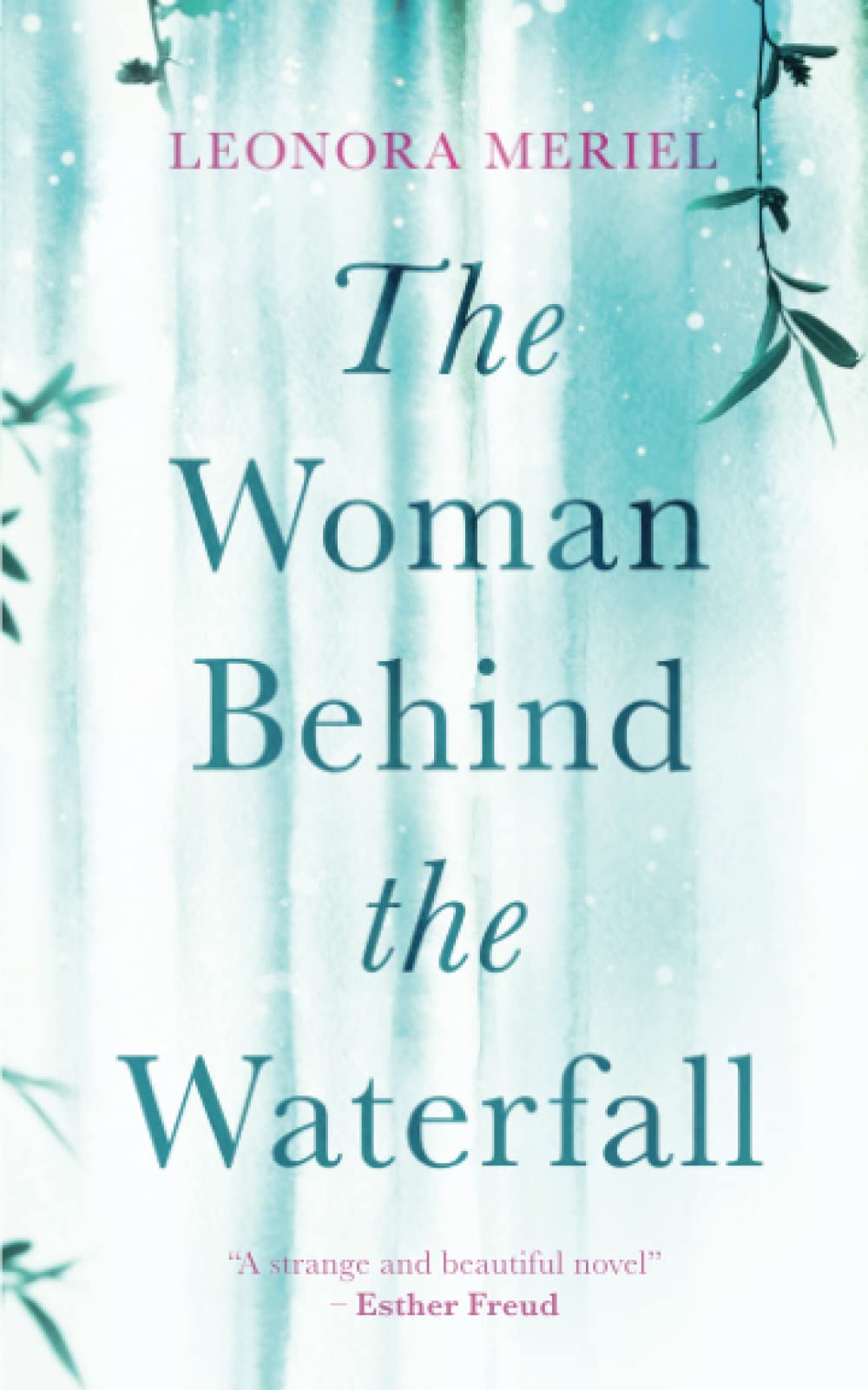 The Woman Behind The Waterfall Contemporary literature