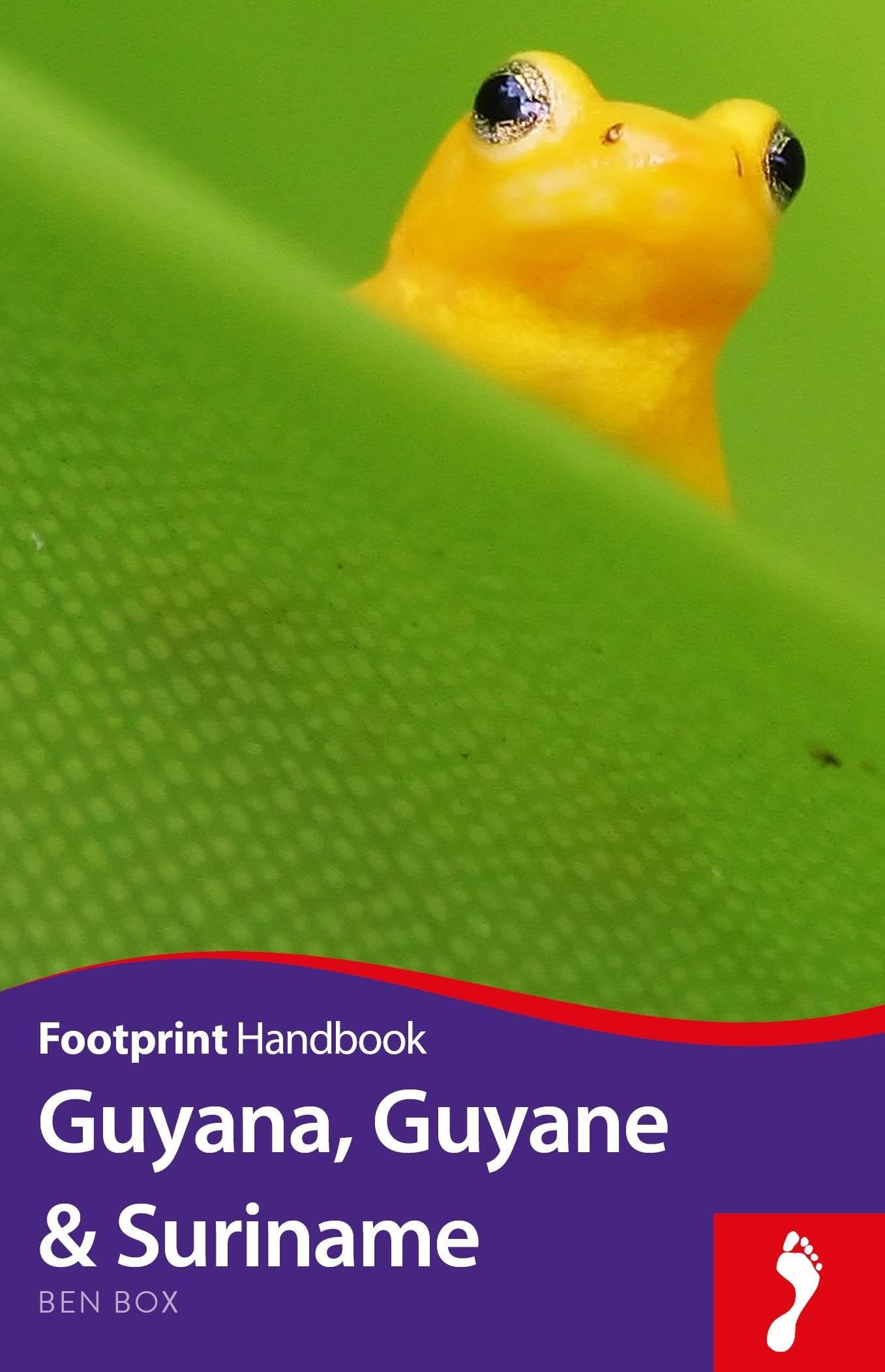 Guyana Guyane and Suriname (Footprint Handbook) Leisure, Home & Garden