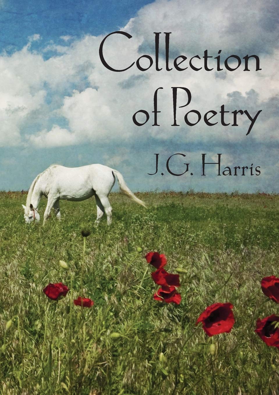 Collection of Poetry Poetry