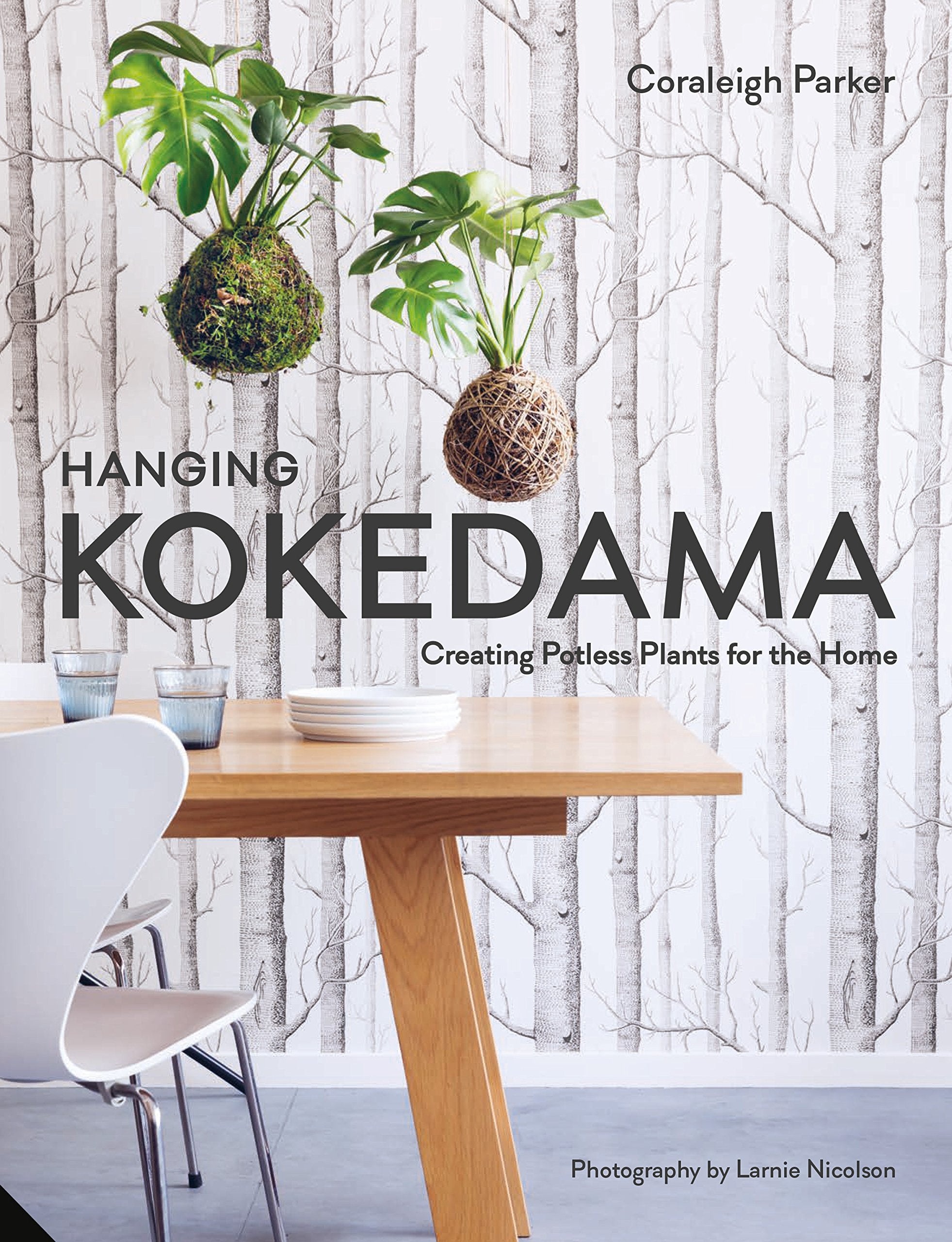 Hanging Kokedama: Creating Potless Plants for the Home book