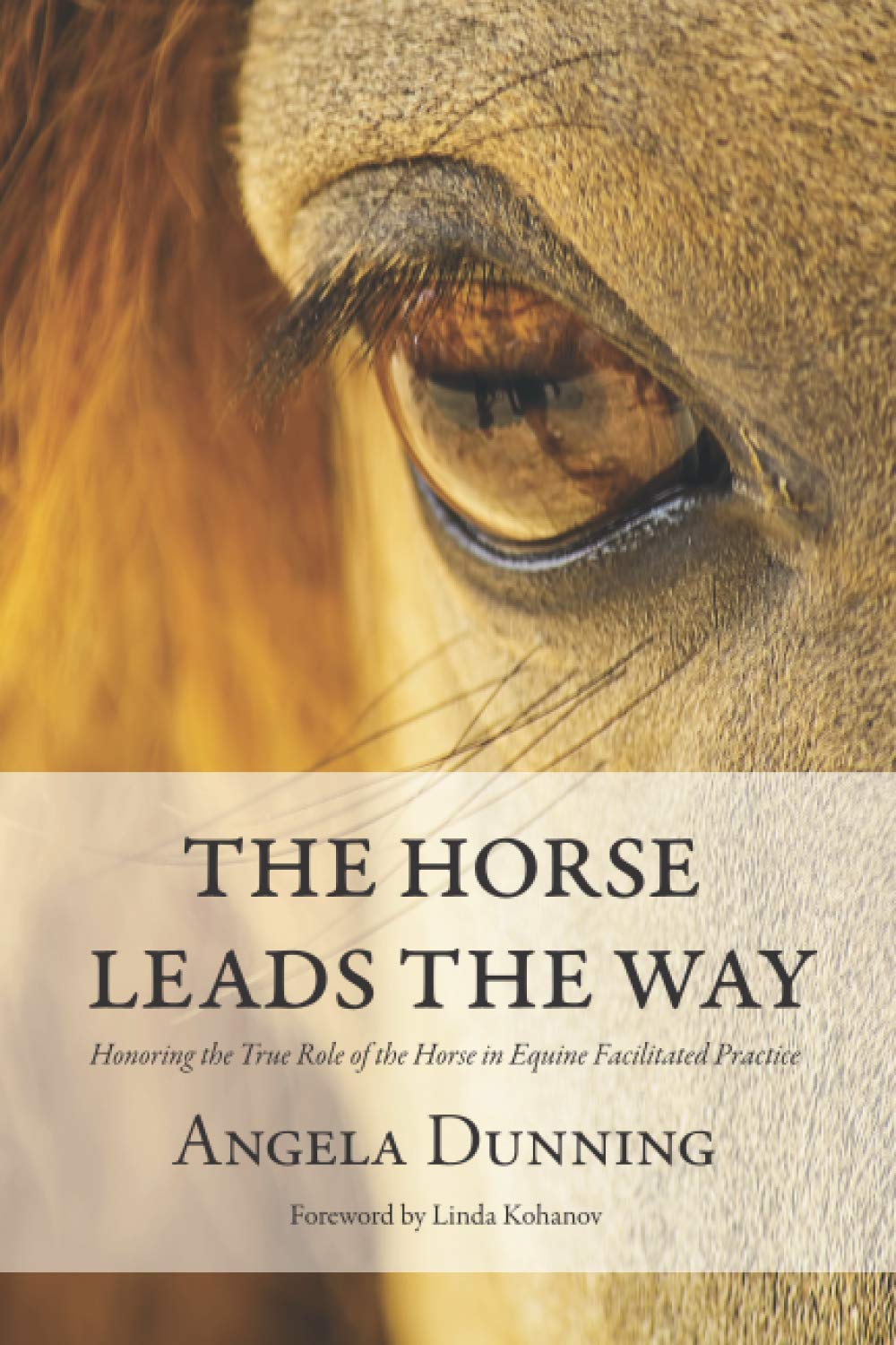 The Horse Leads the Way: Honoring the True Role of the Horse in Equine Facilitated Practice book