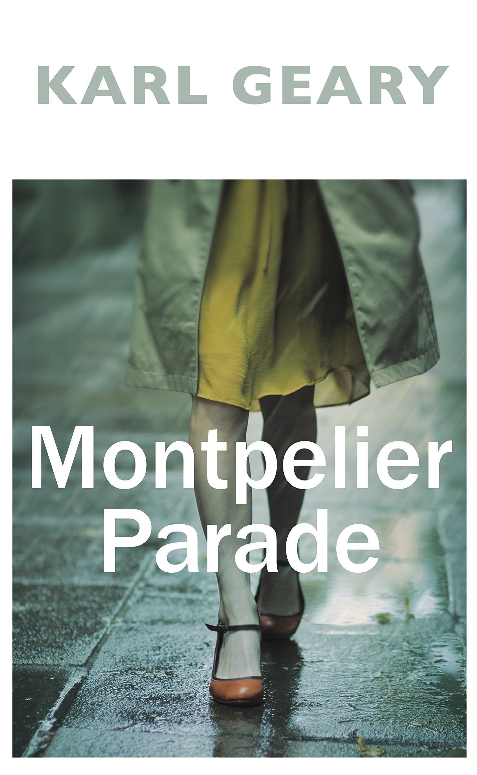 Montpelier Parade: Nominiert: Costa First Novel Award 2018, Nominiert: writers guild best first novel 2018, Nominiert: Desmond Elliott Prize 2017, ... Irish Book Awards - Newcomer of the Year 2017 Contemporary literature