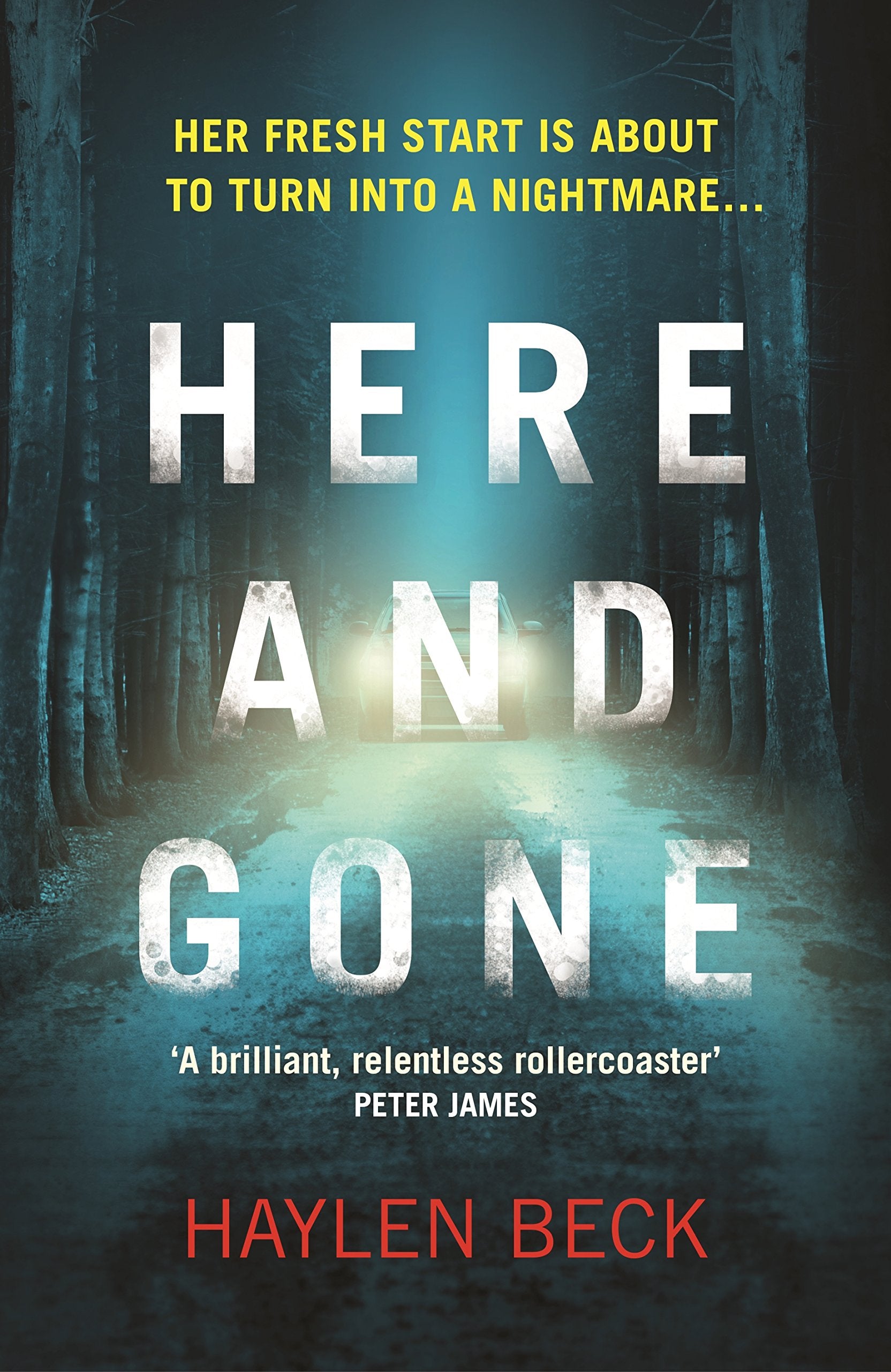 Here and Gone: Nominiert: Bord G is Irish Energy Book Awards - The Ireland AM Crime Fiction Award 2017 Contemporary literature