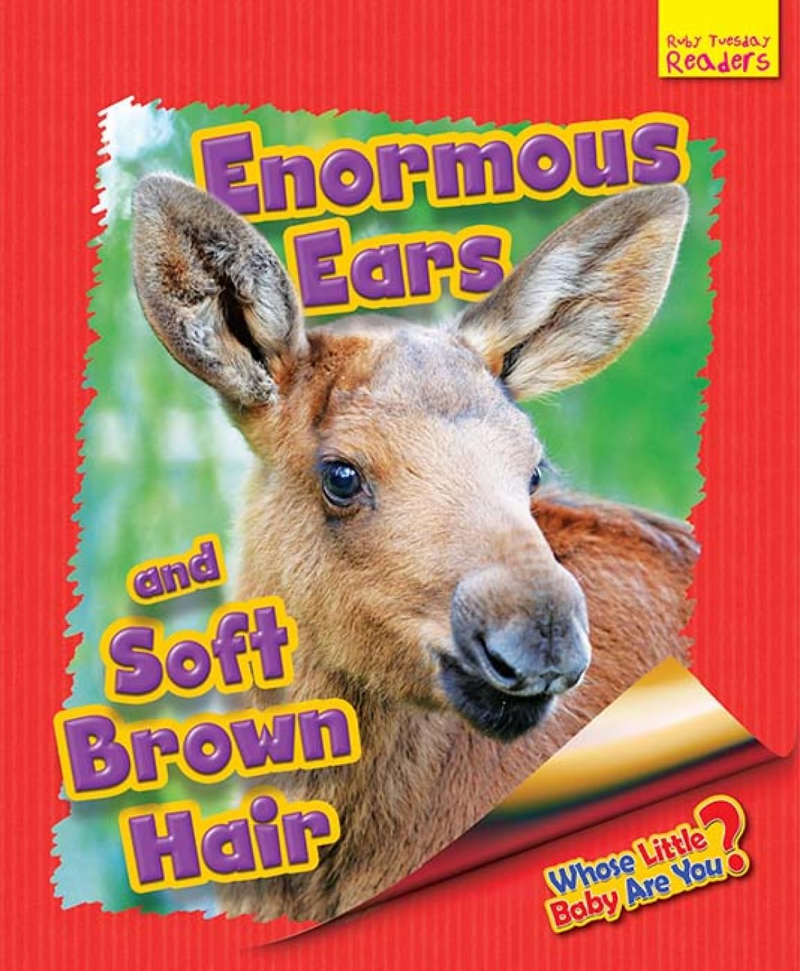 Whose Little Baby Are You? Enormous Ears and Soft Brown Hair book