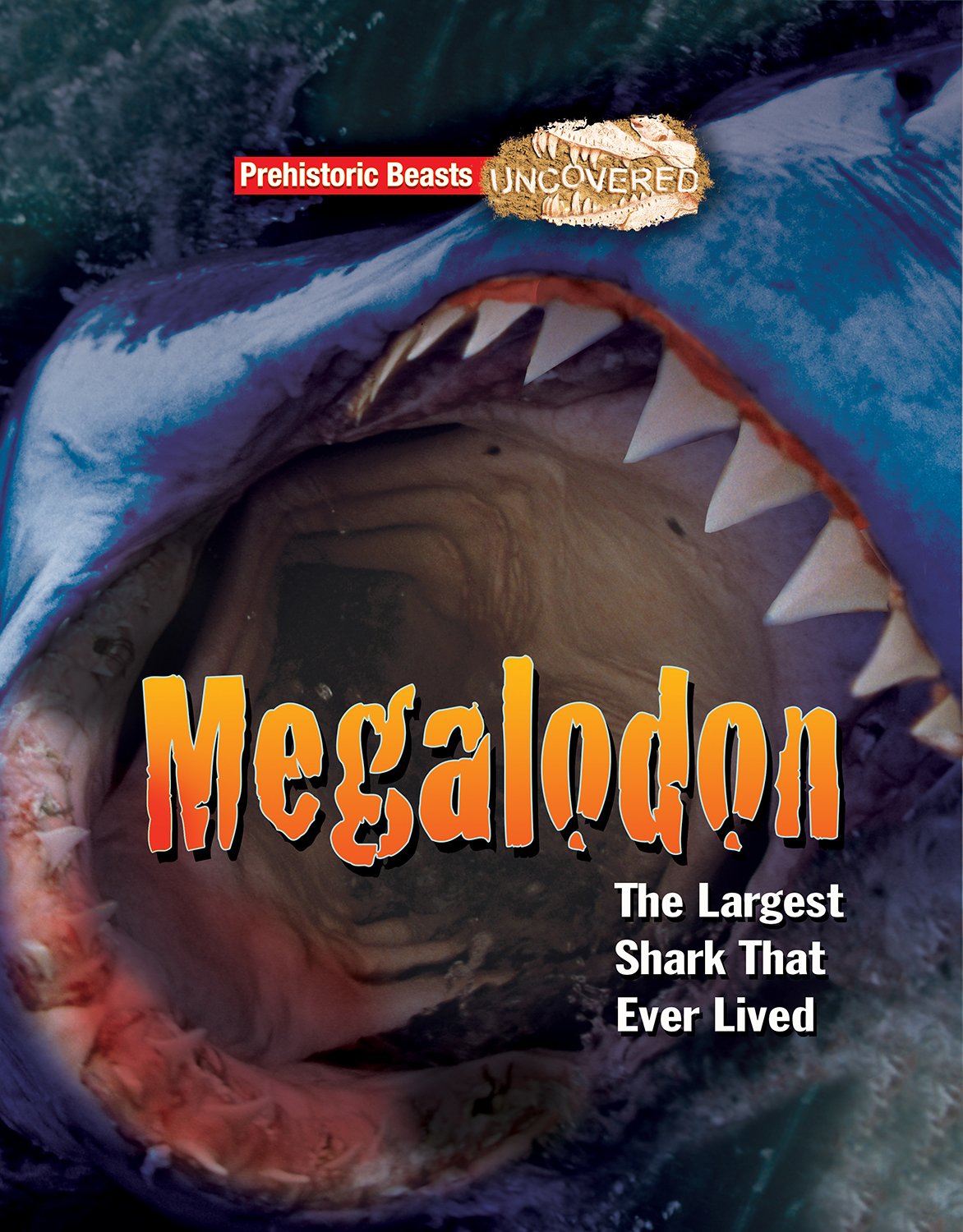 Megalodon: The Largest Shark That Ever Lived (Prehistoric Beasts Uncovered) Non-fiction