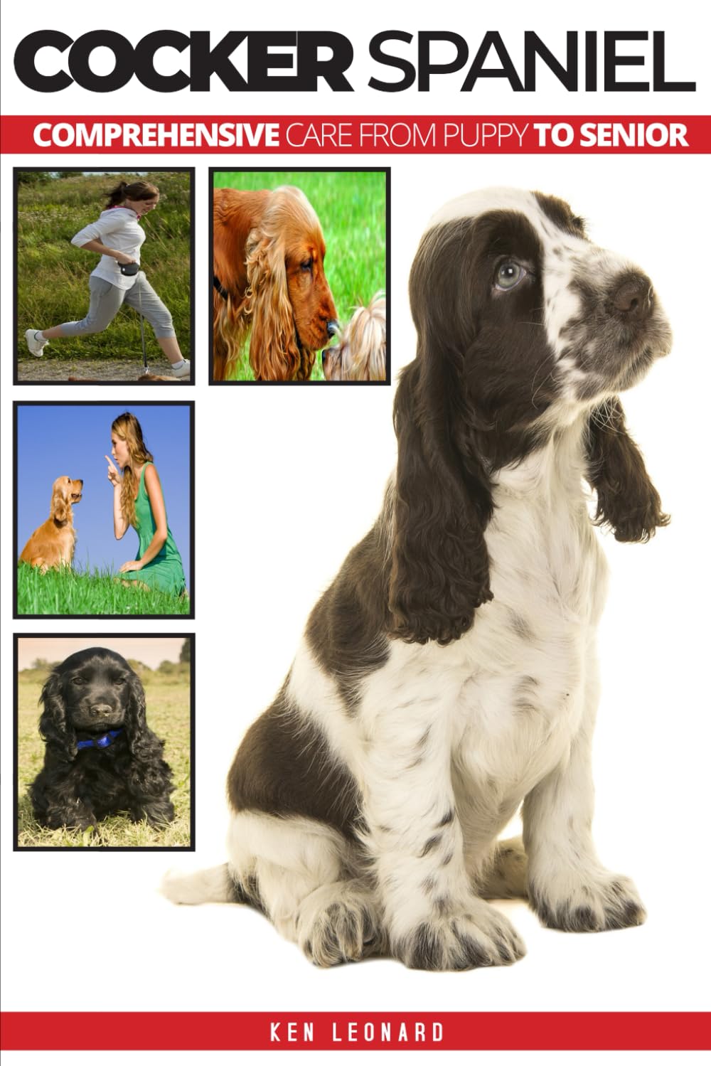 Cocker Spaniel: Comprehensive Care from Puppy to Senior; Care, Health, Training, Behaviour, Understanding, Grooming, Costs and much more Pets
