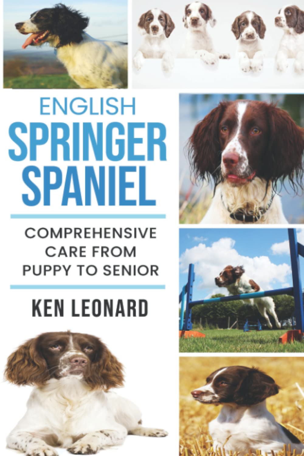 English Springer Spaniel: Comprehensive Care from Puppy to Senior; Care, Health, Training, Behaviour, Understanding, Grooming, Costs and much more Pets
