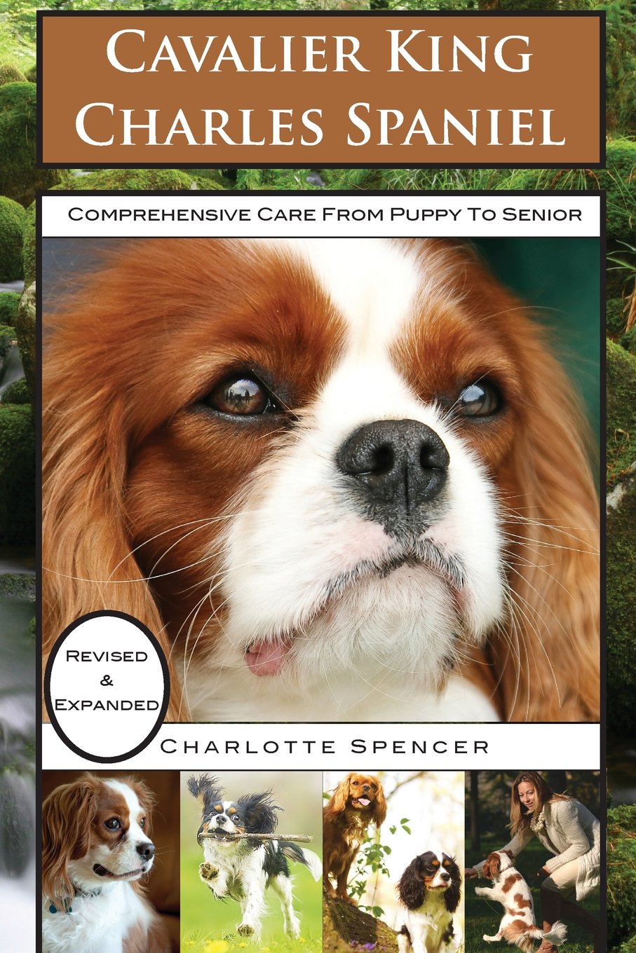 Cavalier King Charles Spaniel: REVISED & EXPANDED: Comprehensive Care from Puppy to Senior; Care, Health, Training, Behavior, Understanding, Grooming book