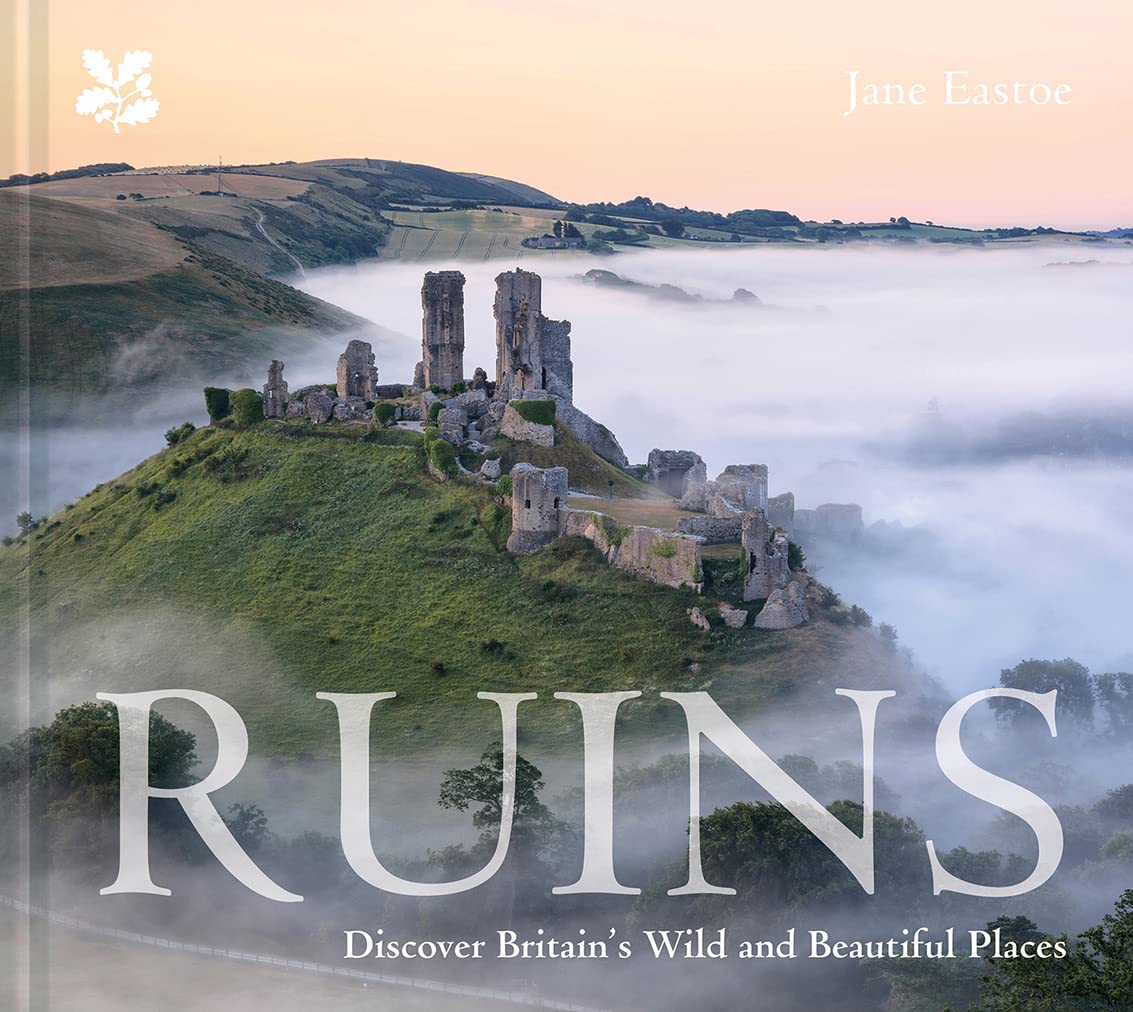 Ruins: Discover Britain's Wild and Beautiful Places Geology & Geography