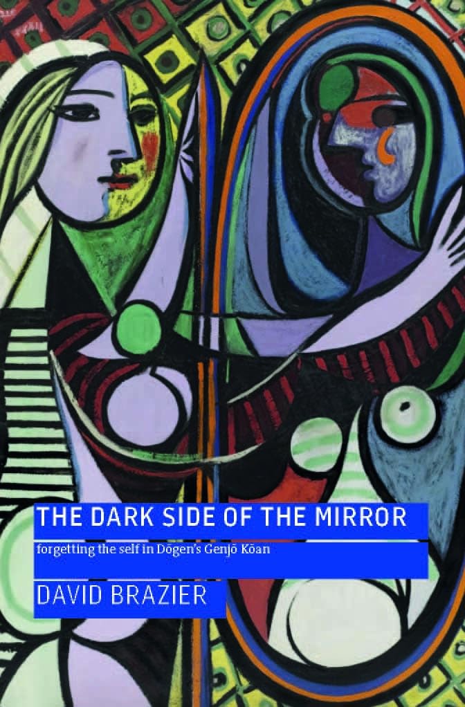 Product Image: The Dark Side of the Mirror