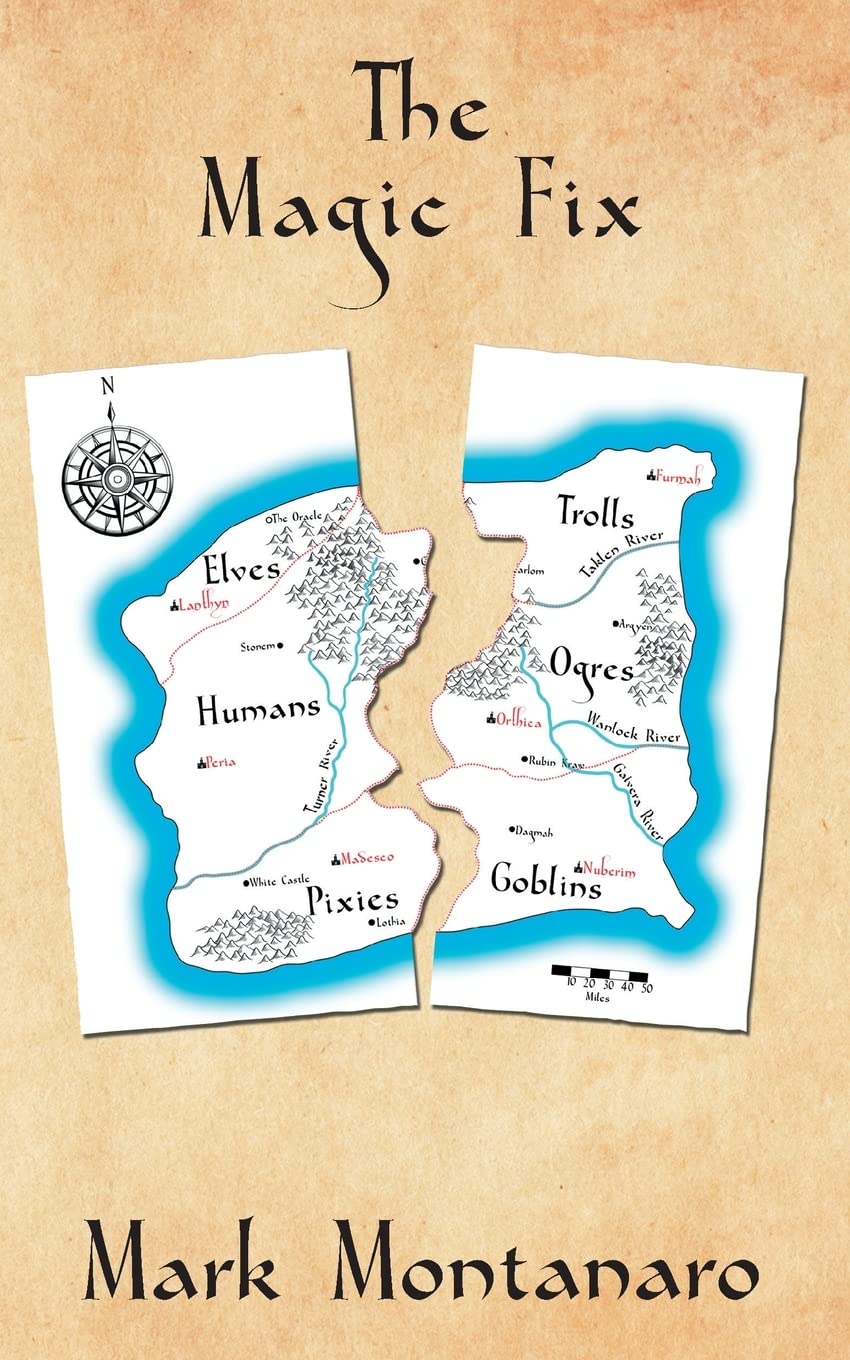 The Magic Fix book