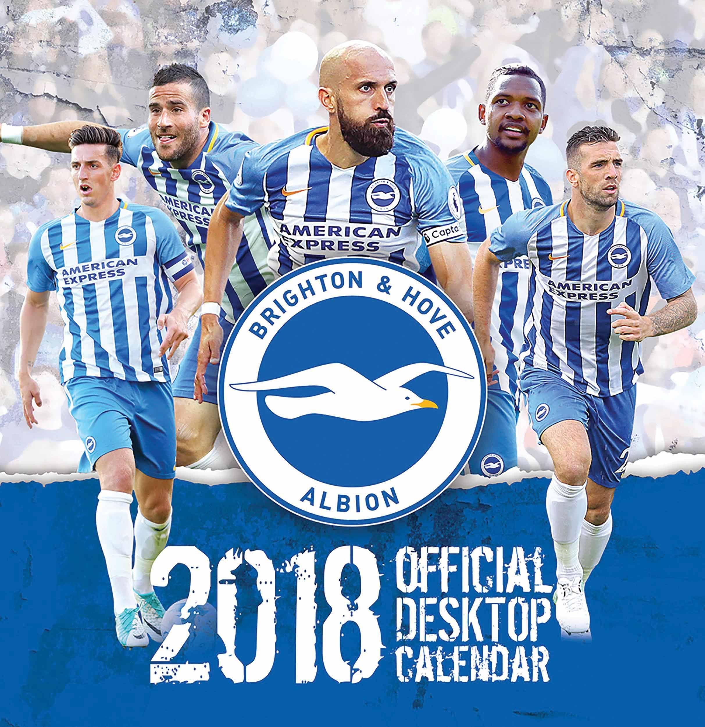 The Official Brighton & Hove Albion FC Desk Calendar 2017 Reference Books