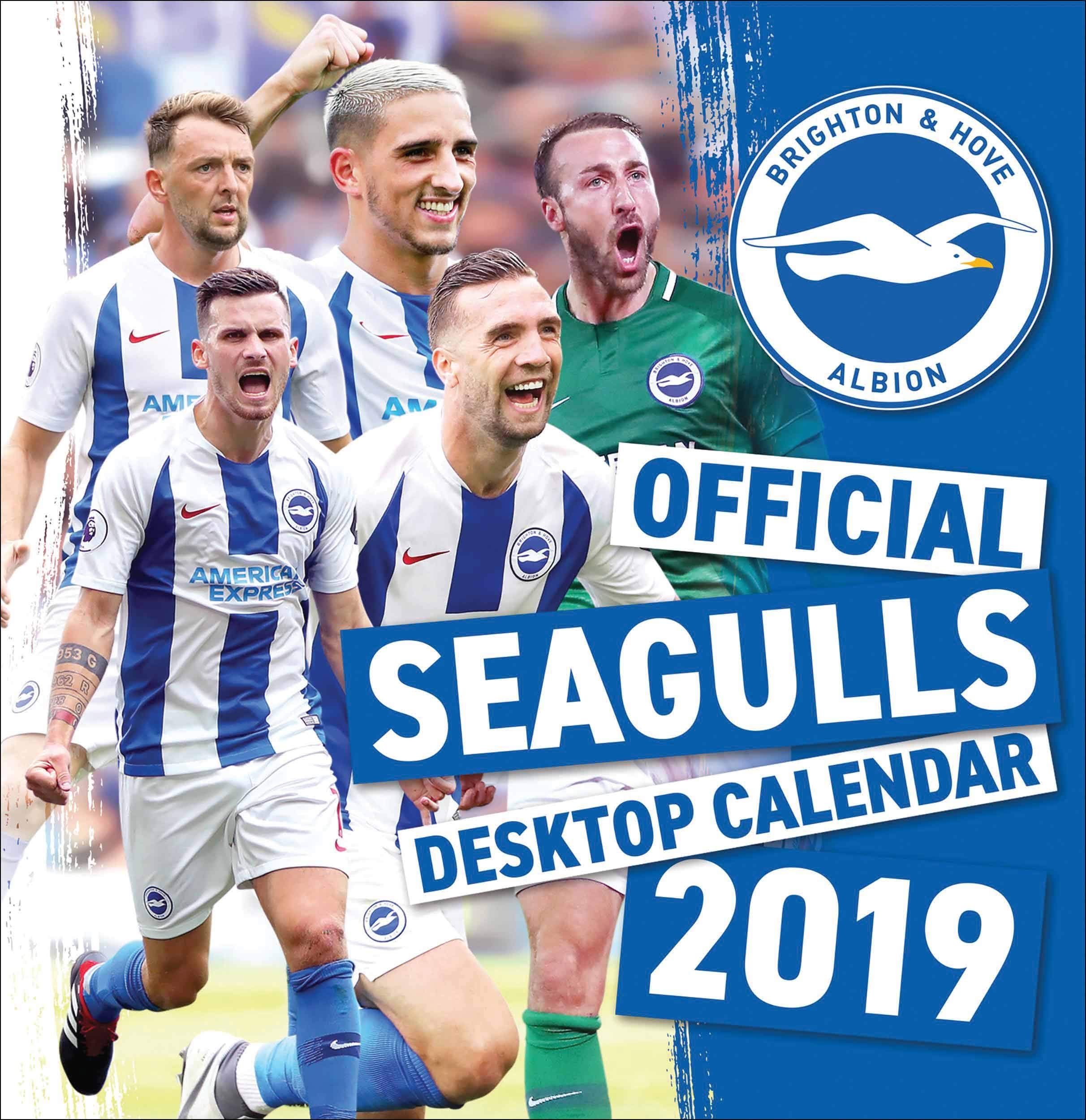 The Official Brighton & Hove Albion FC Desk Calendar 2019 Leisure & Fun