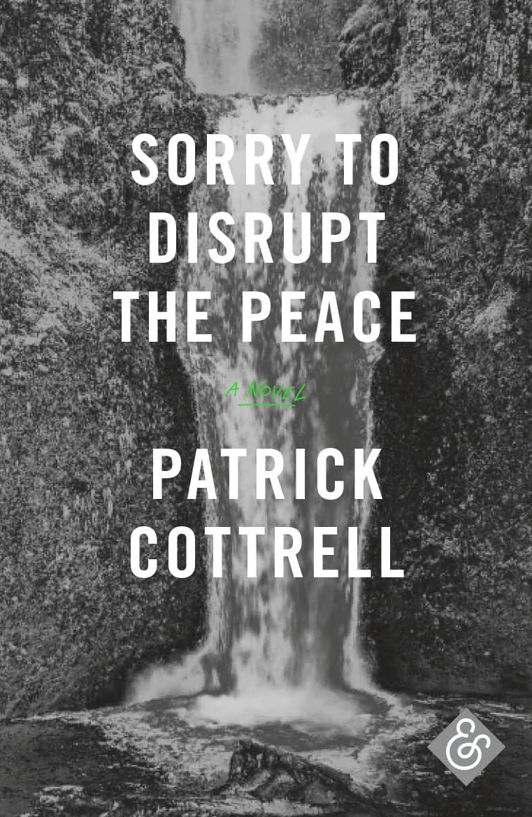 Sorry to Disrupt the Peace Contemporary literature
