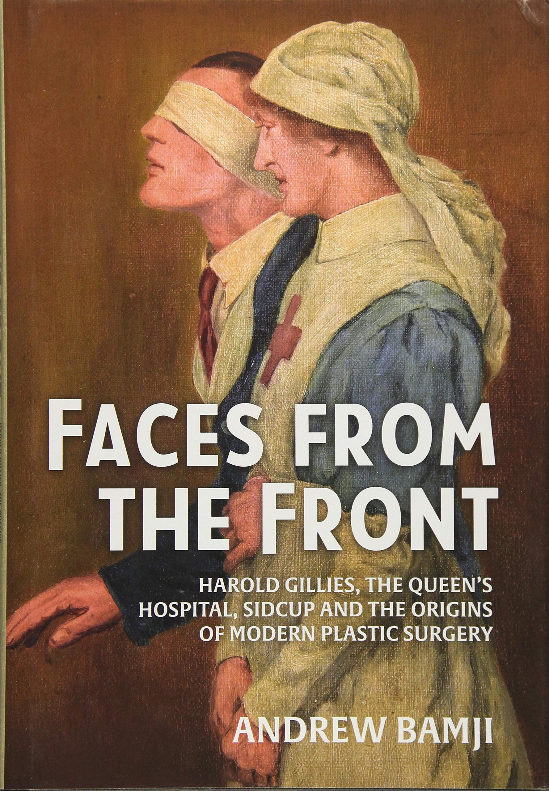 Faces from the Front: Harold Gillies, The Queen's Hospital, Sidcup and the Origins of Modern Plastic Surgery book