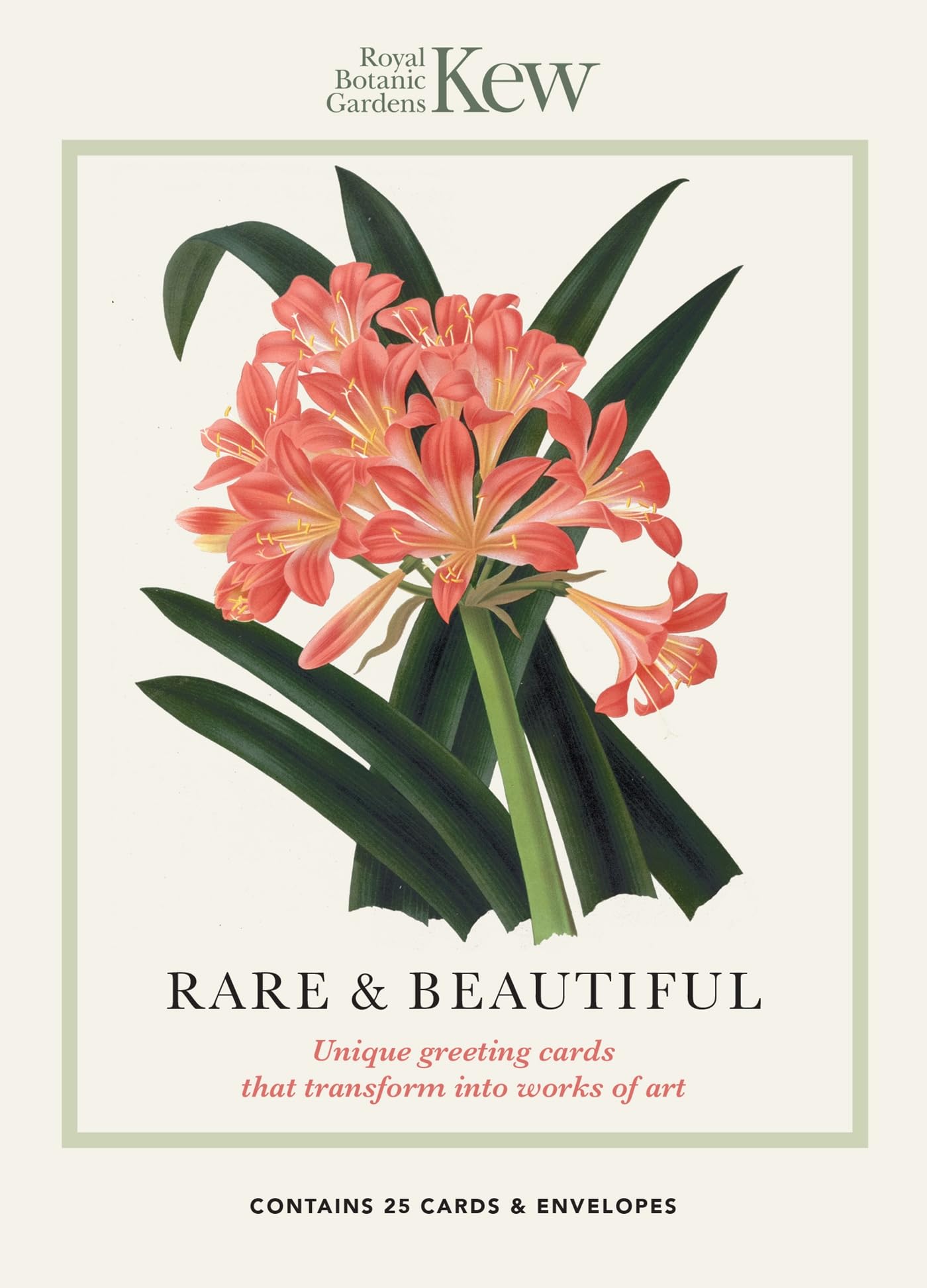 Kew - Rare and Beautiful Greeting Cards: Unique Greeting Cards That Transform into Works of Art (Kew Rare & Beautiful: Unique greeting cards that transform into works of art) Mathematics