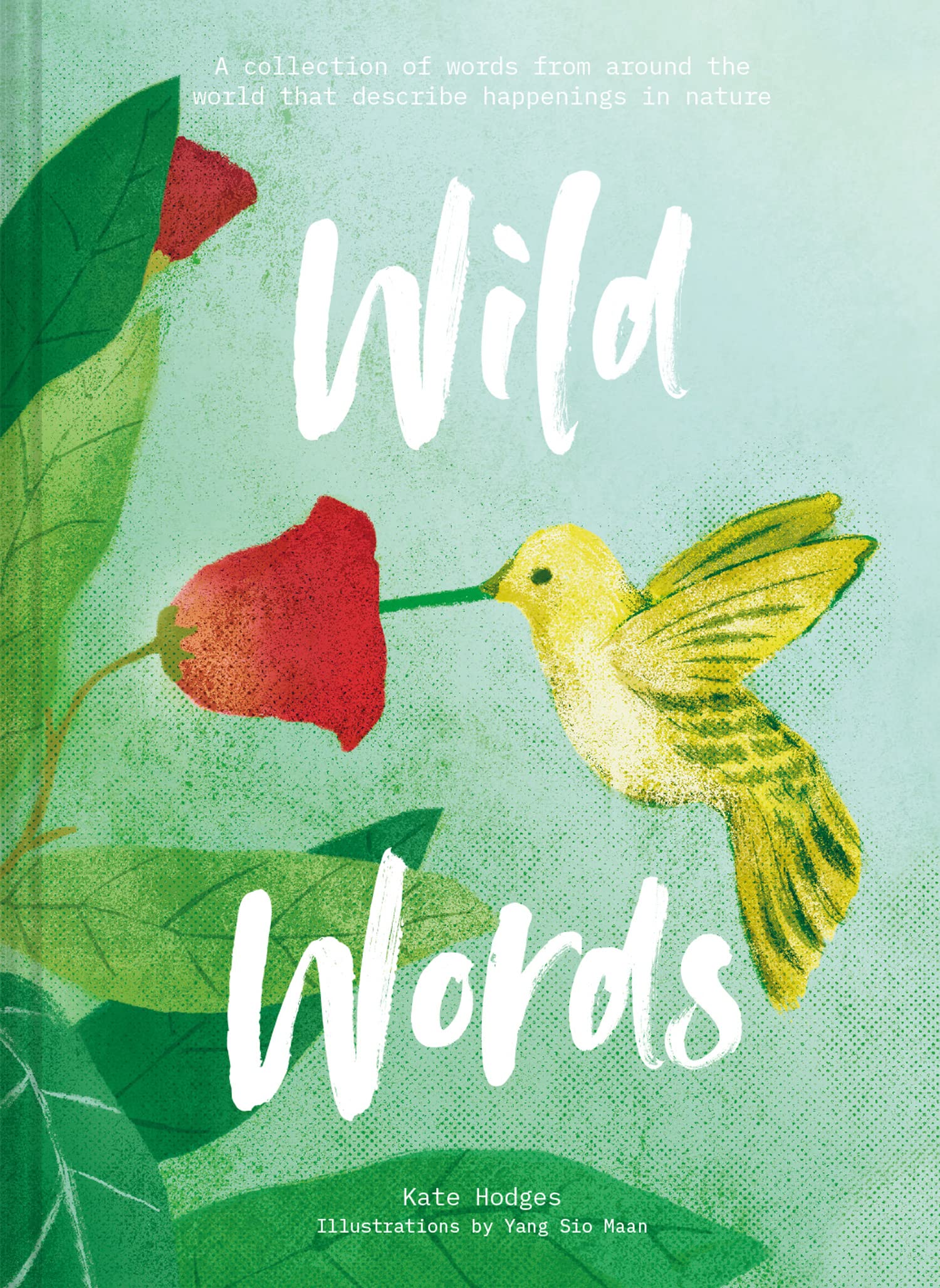 Wild Words Philosophy Books