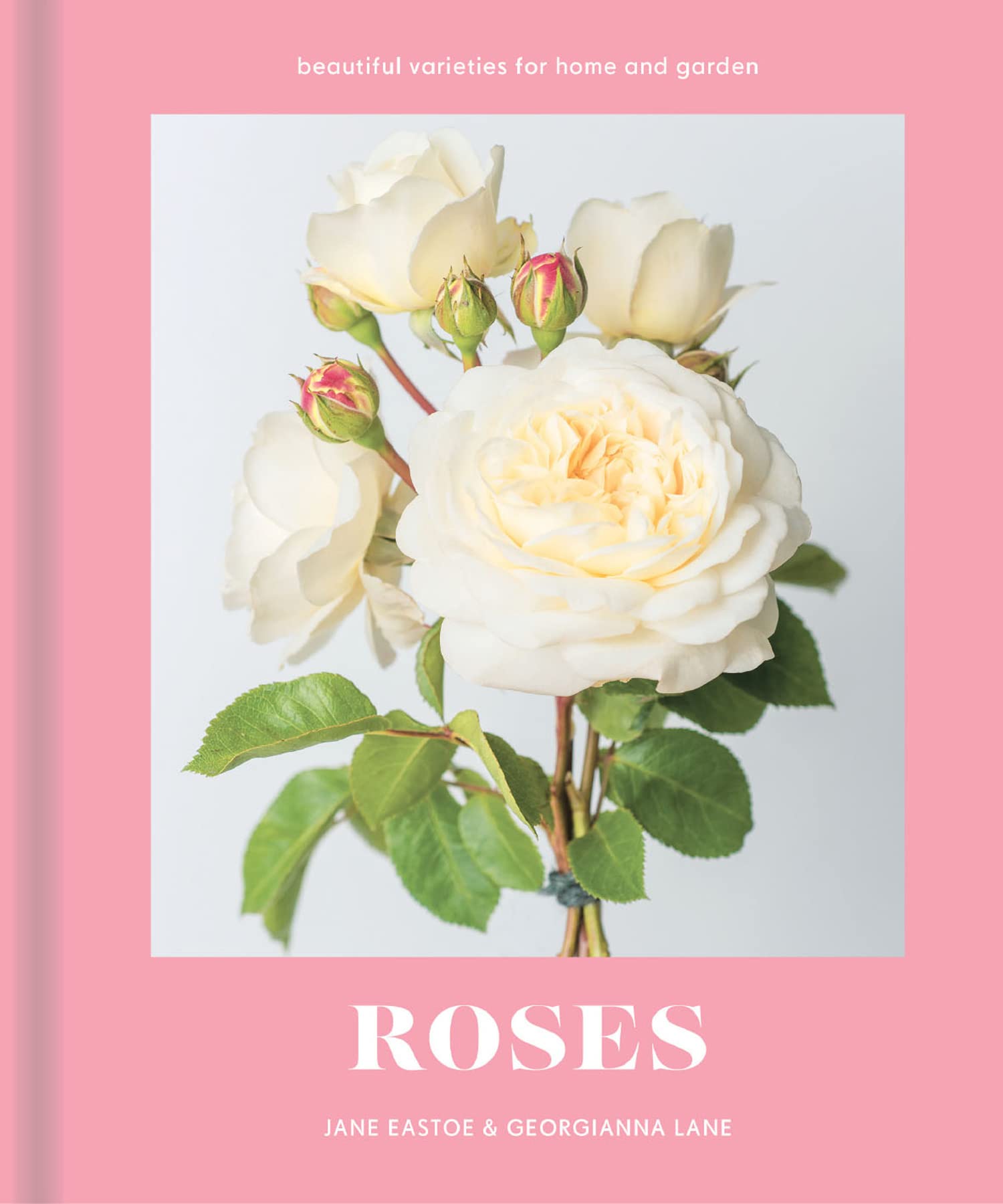 Roses: Beautiful varieties for home and garden Film, Art & Culture