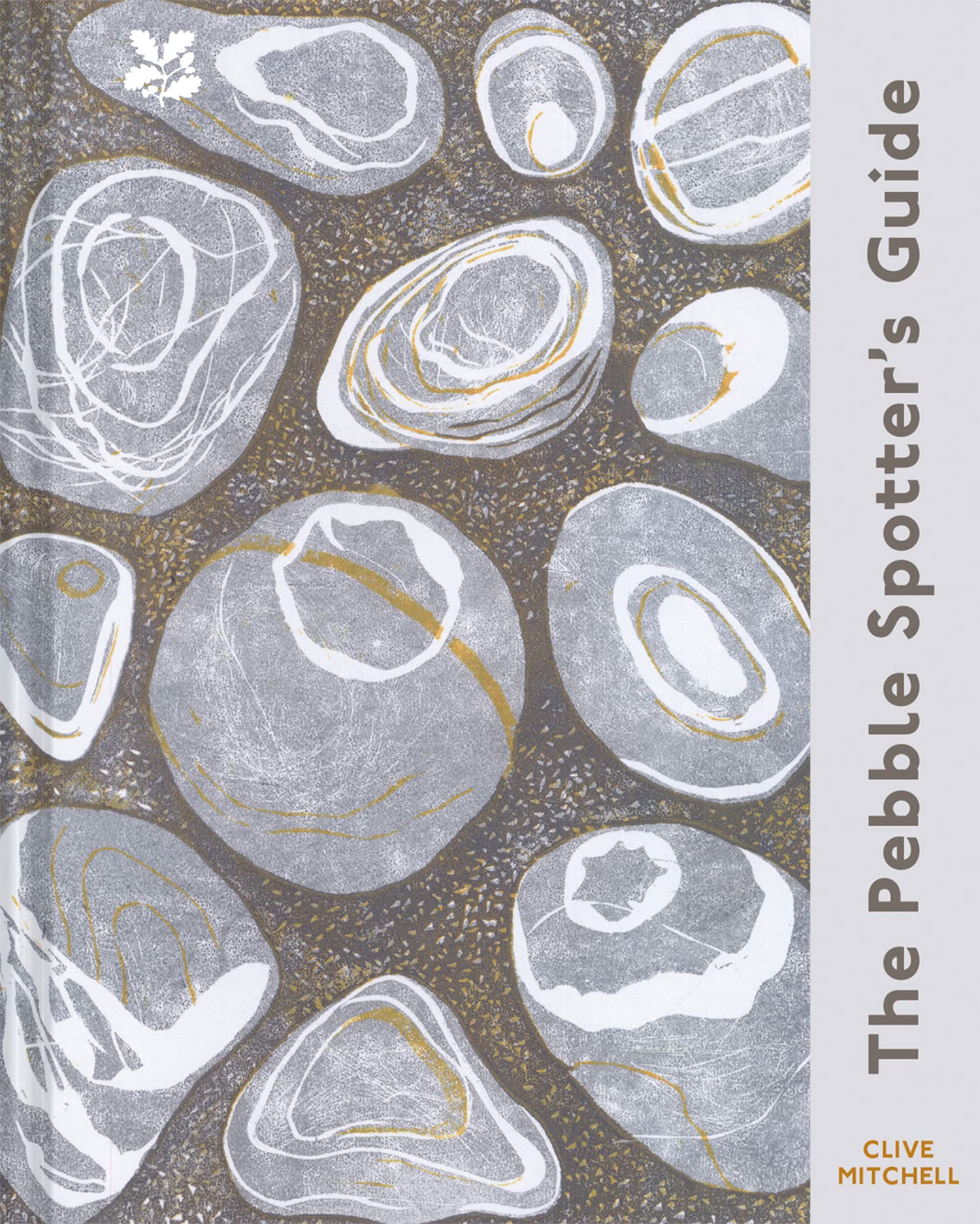 The Pebble Spotter's Guide - National Trust Edition Mathematics