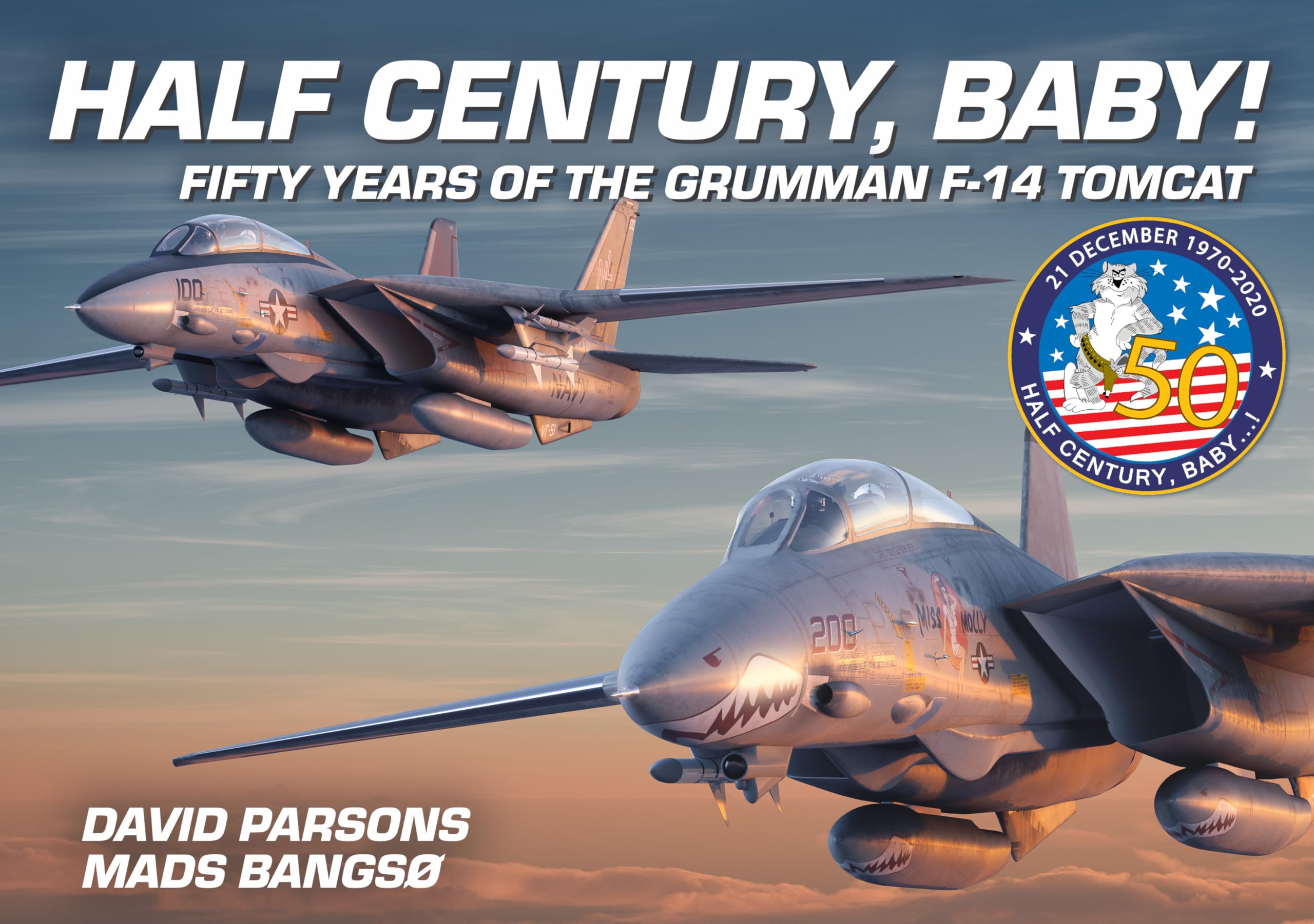 Half Century, Baby! - Fifty Years of the Grumman F-14 Tomcat Social Sciences
