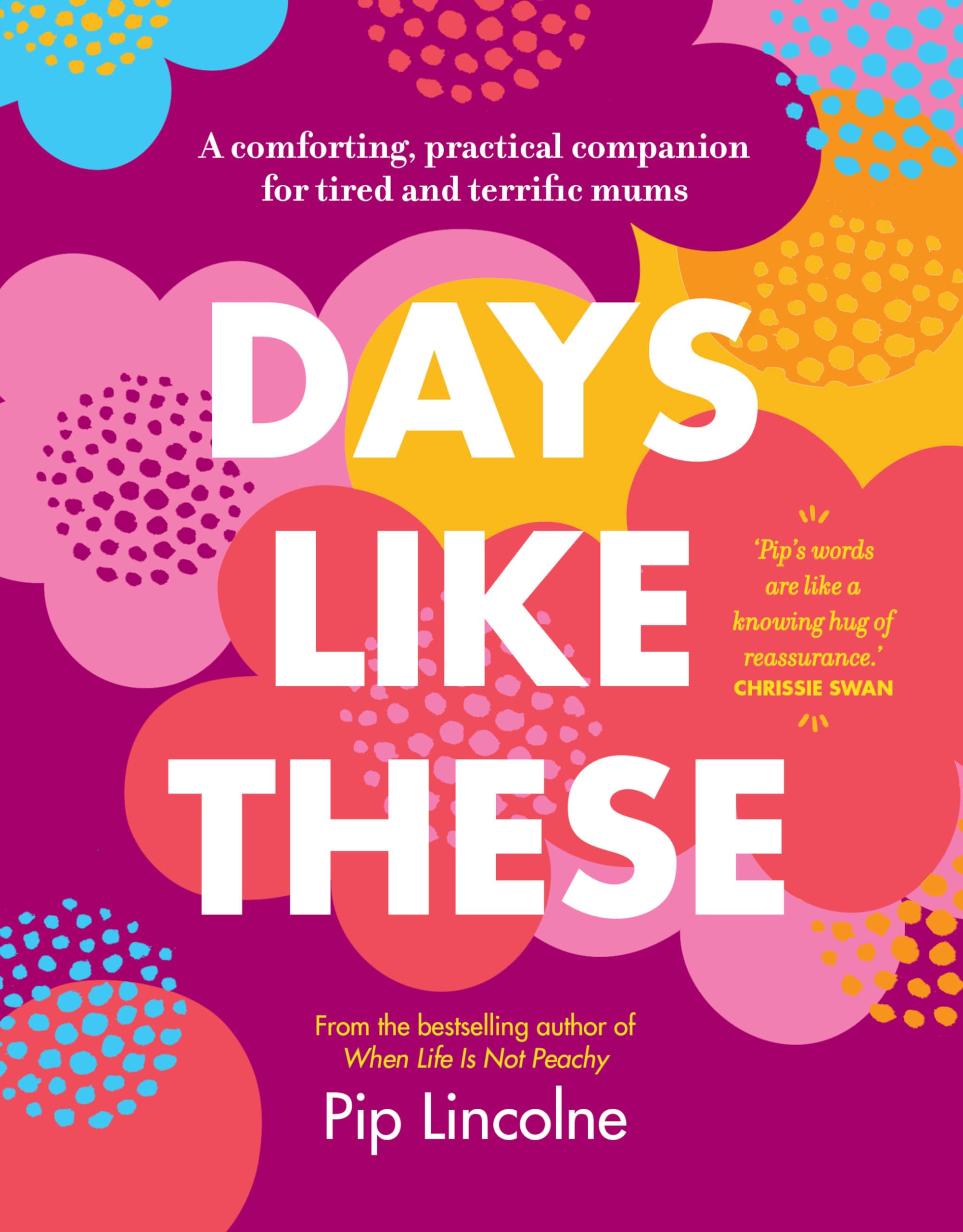 Days Like These: A Comforting, Practical Companion for Tired and Terrific Mums Business, Finance & Career