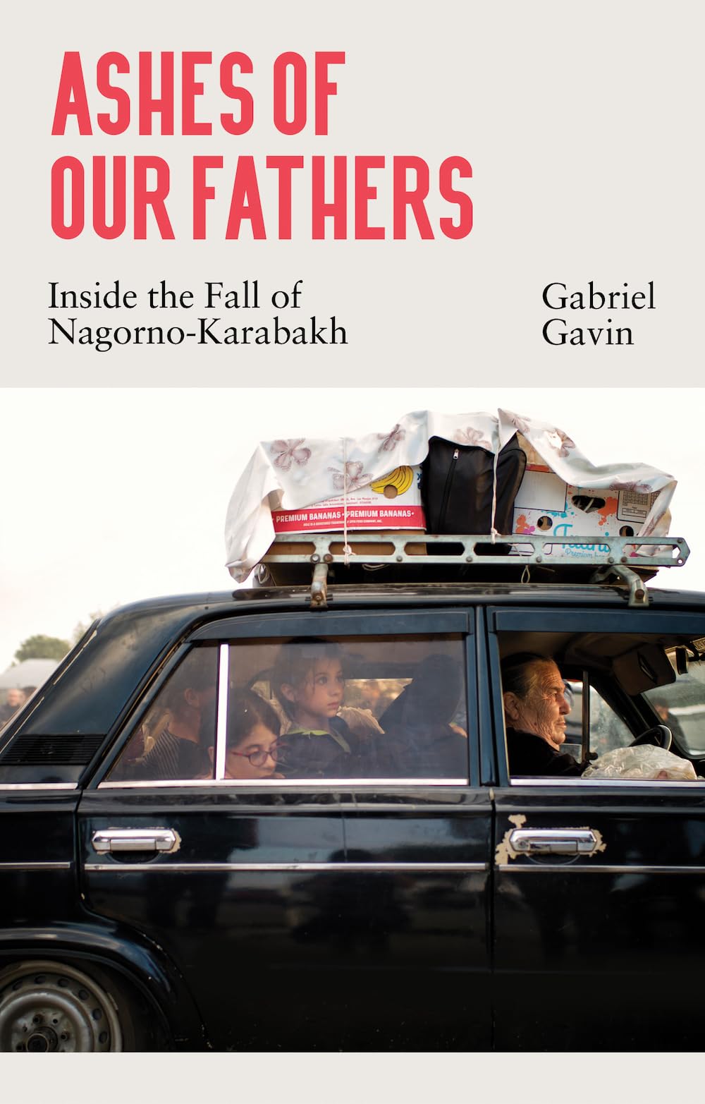 Product Image: Ashes of Our Fathers