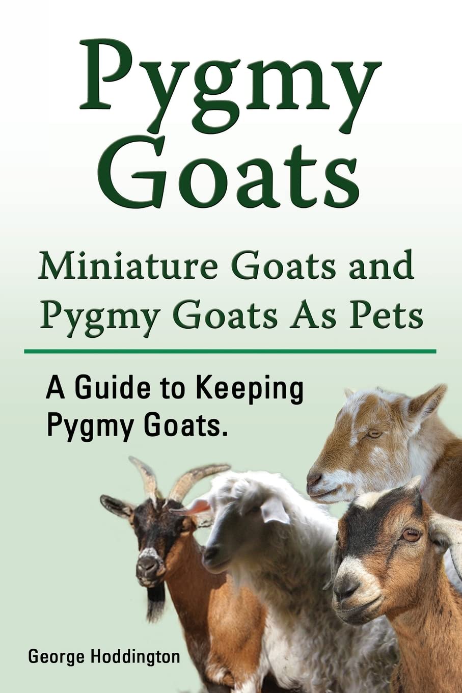 Pygmy Goats. Miniature Goats and Pygmy Goats As Pets. A Guide to Keeping Pygmy Goats. Pets