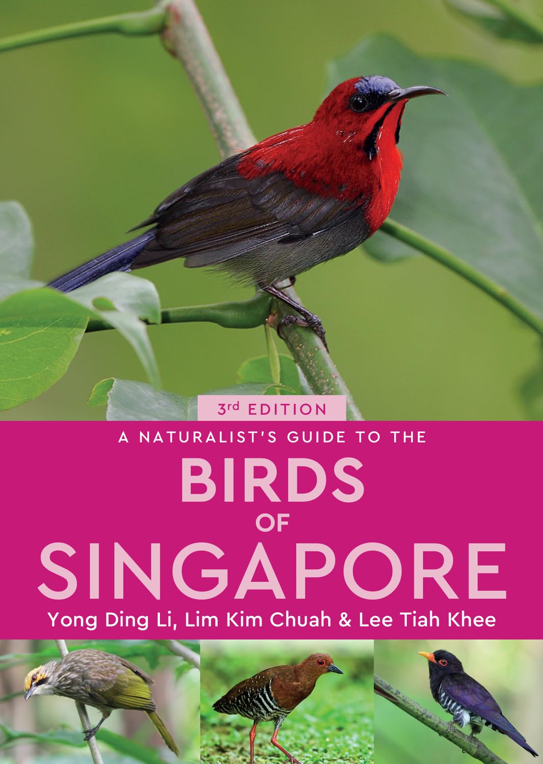 A Naturalist's Guide to the Birds of Singapore book