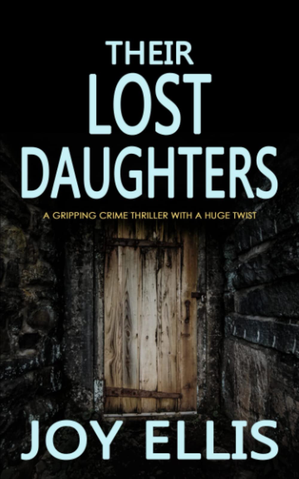 THEIR LOST DAUGHTERS a gripping crime thriller with a huge twist book